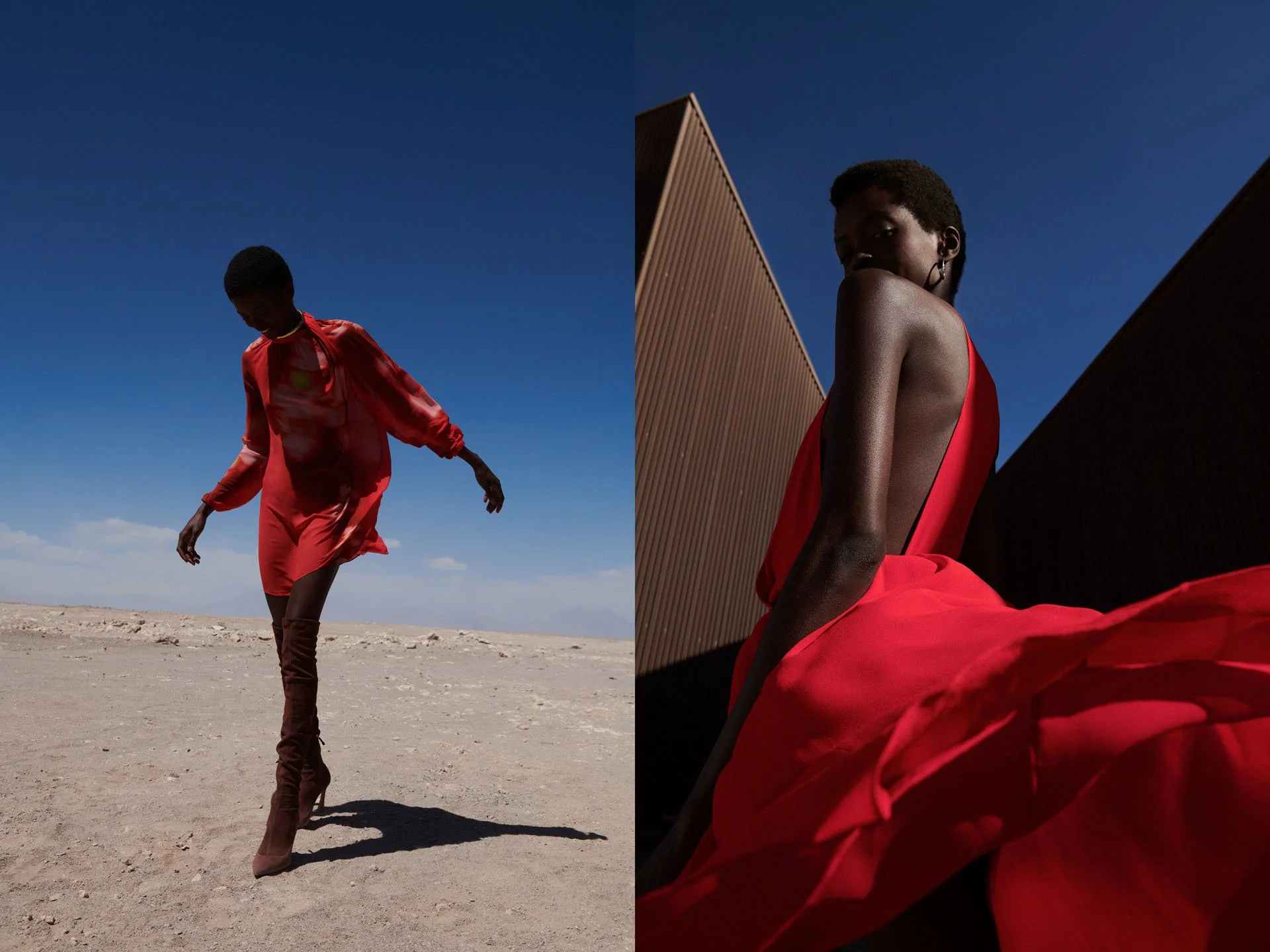 NH_22_781_ANIMALE_ATACAMA_27755.jpg