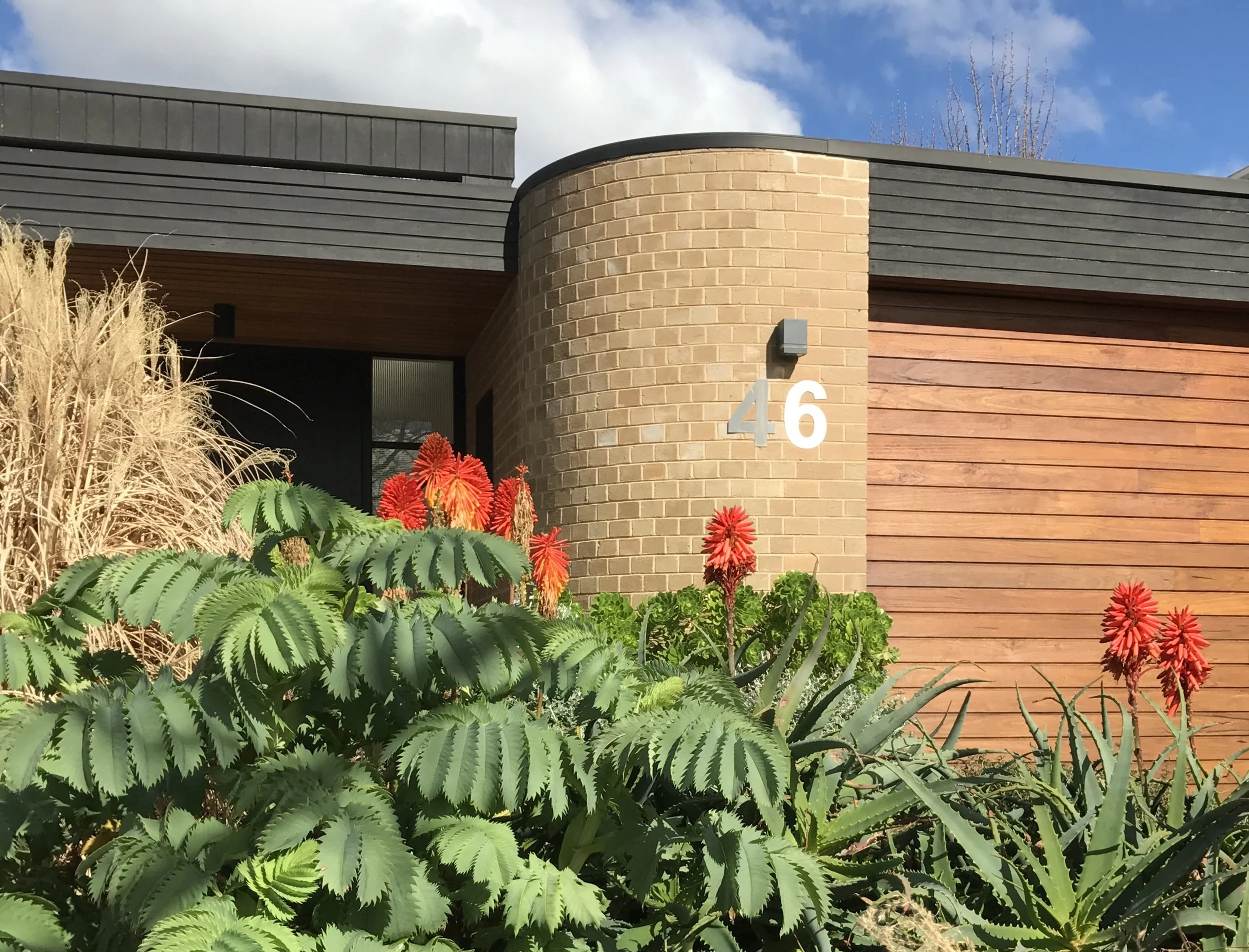 leura aloe & kniphofia.jpg