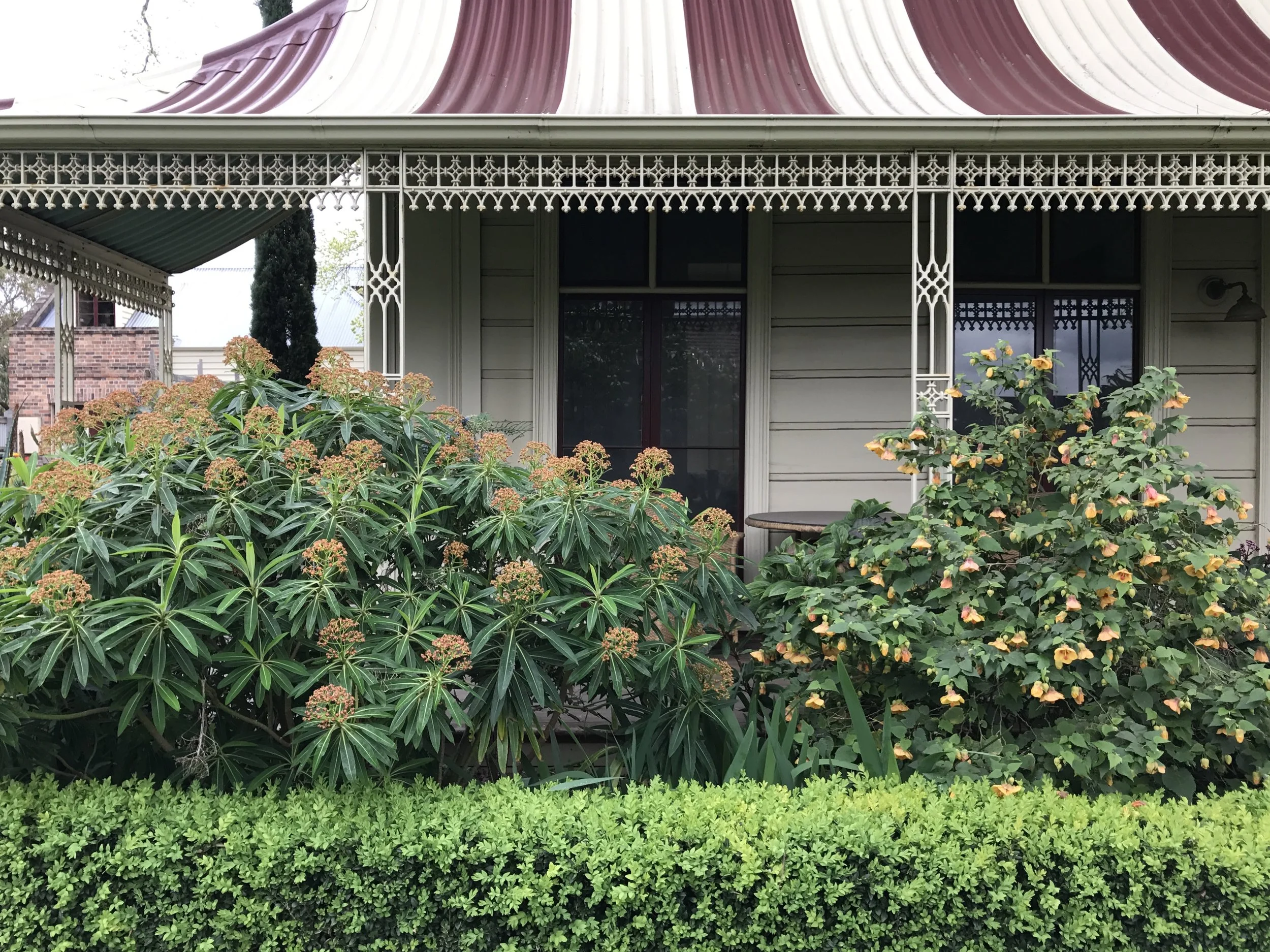 walhalla verandah.jpg