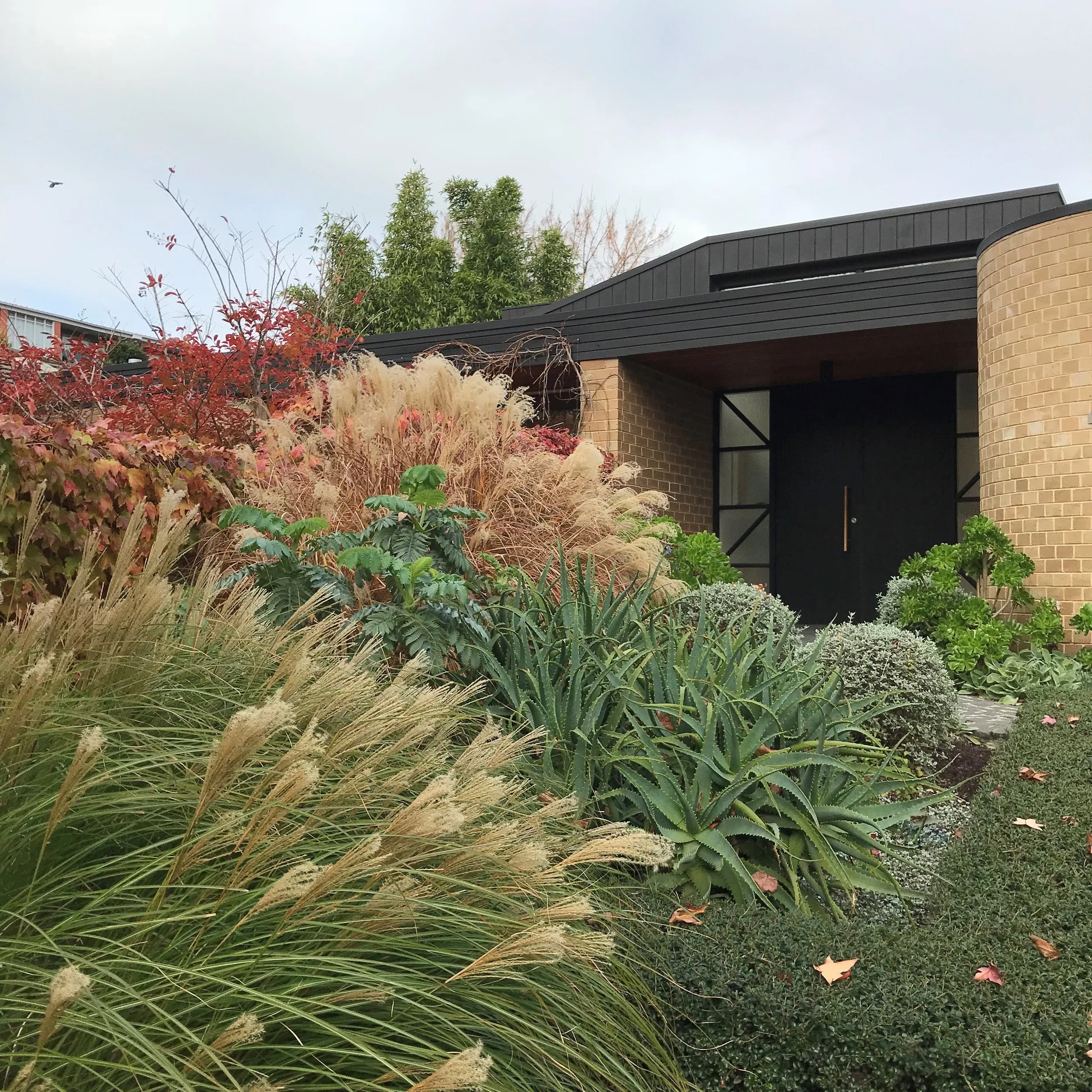 leura front autumn.jpg