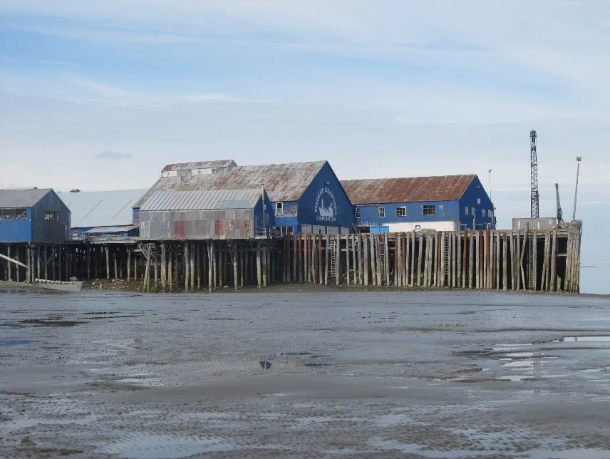South Naknek Cannery, July 2016.jpg