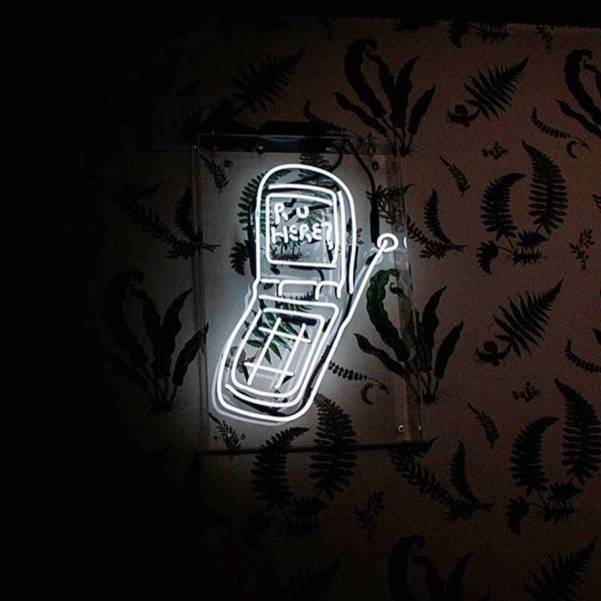 Neon Artwork by Art Director Thomas Pilgrim at Apt 200 Toronto