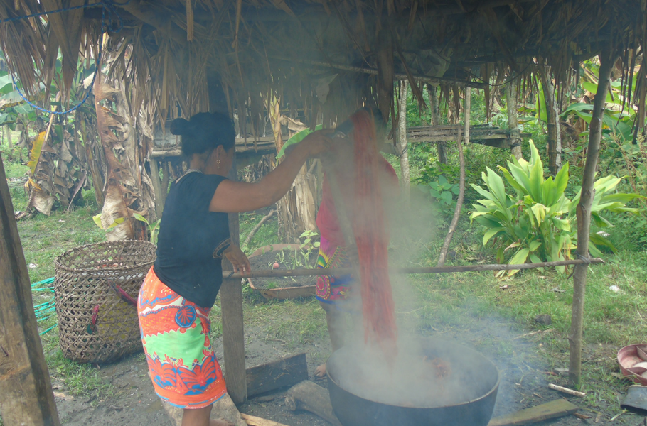 The Process of Making Emberá Animal Masks in Panama