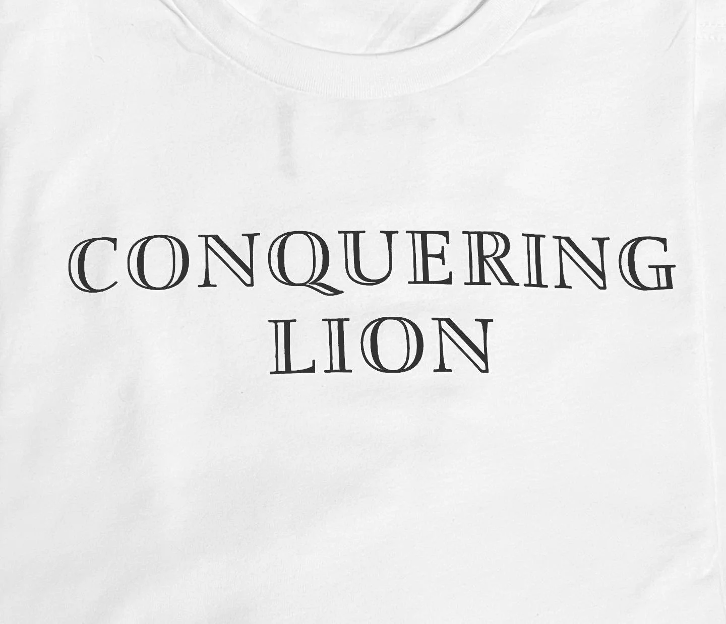 conquering lion front.JPG