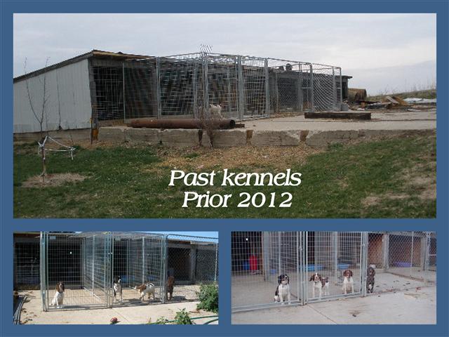 Dog kennels 2012.jpg