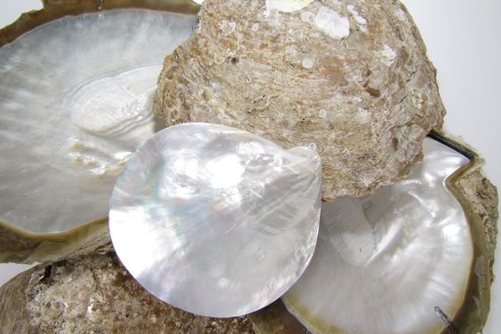 Mother Of Pearl Meaning