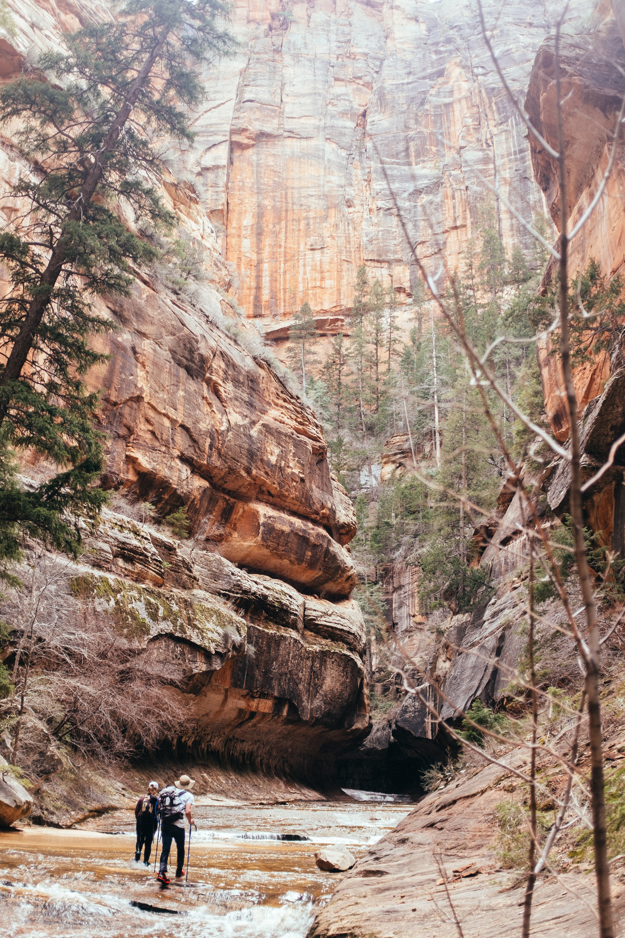  Zion National Park, Utah 