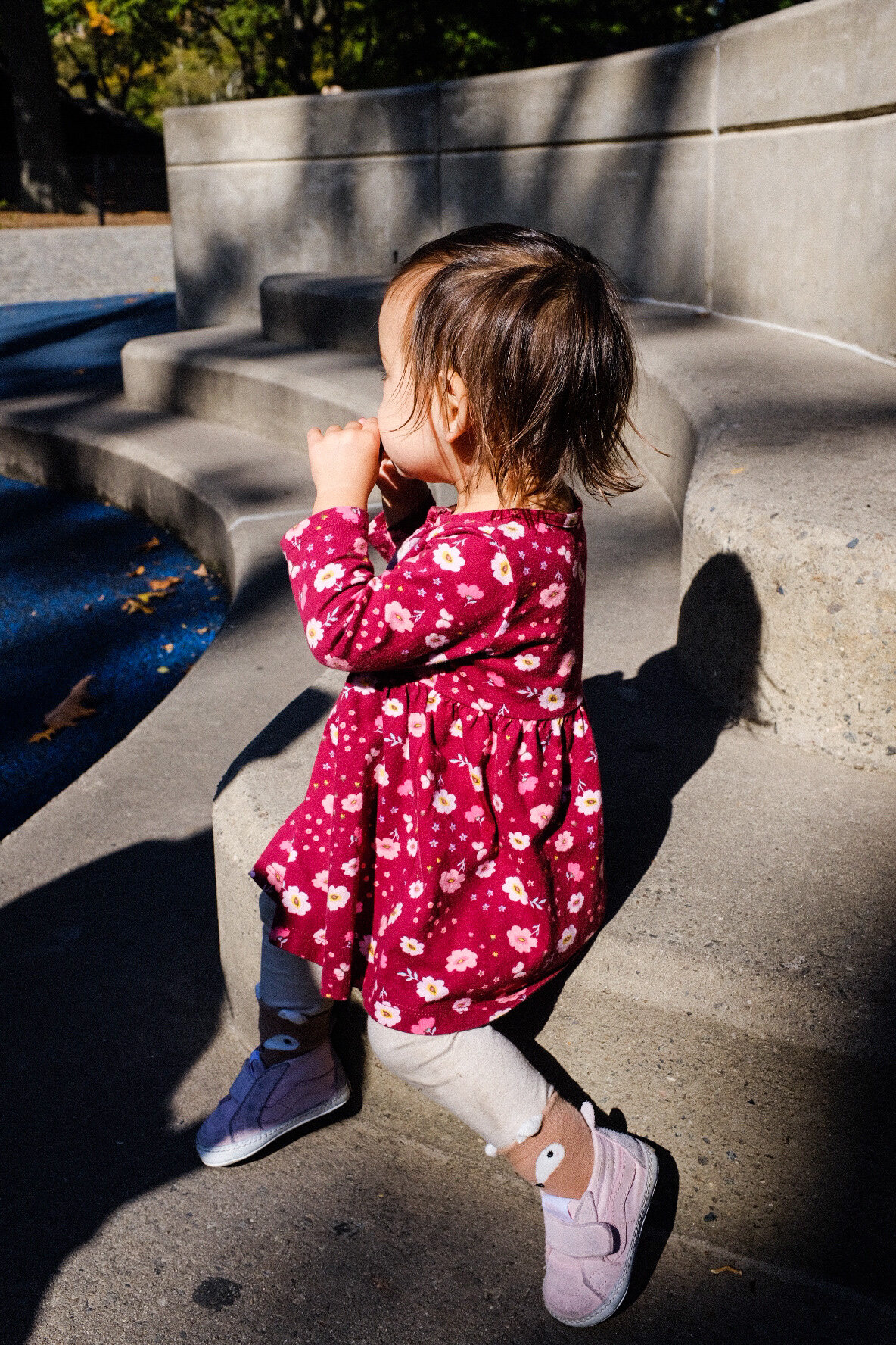  Ruby in Central Park, New York City 2019 