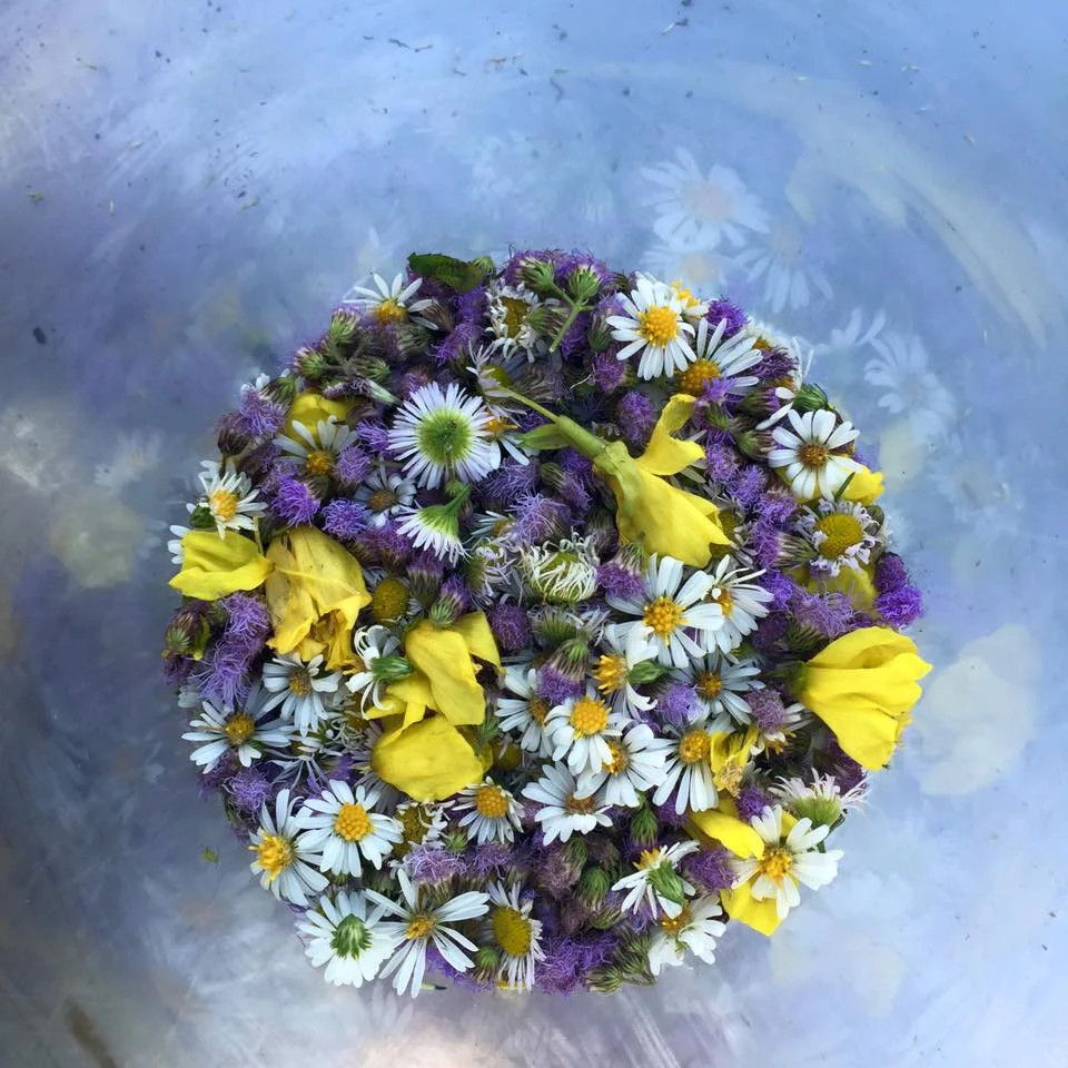edible flowers.jpg