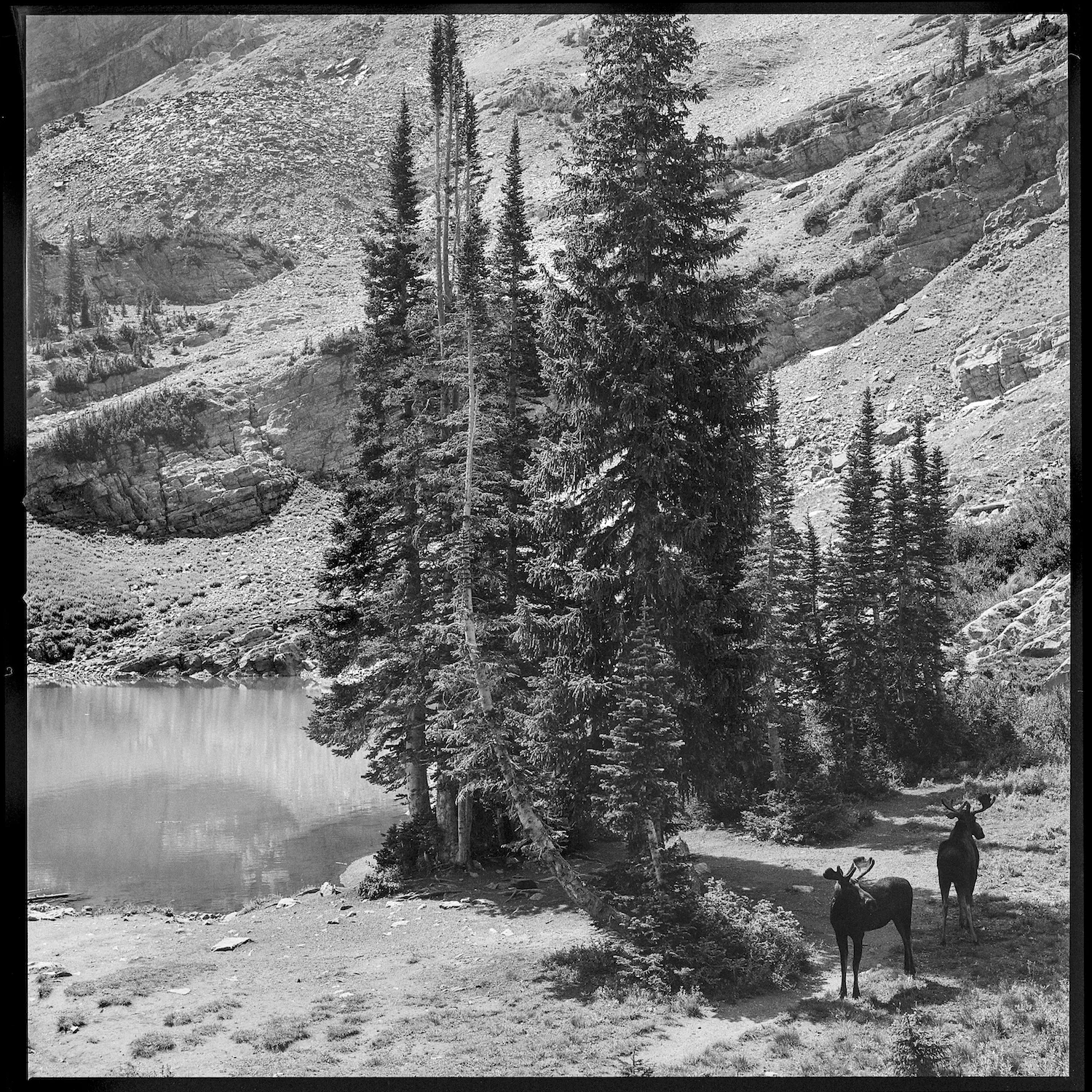 20170730_Danilek_Utah_SL080c_small.jpg
