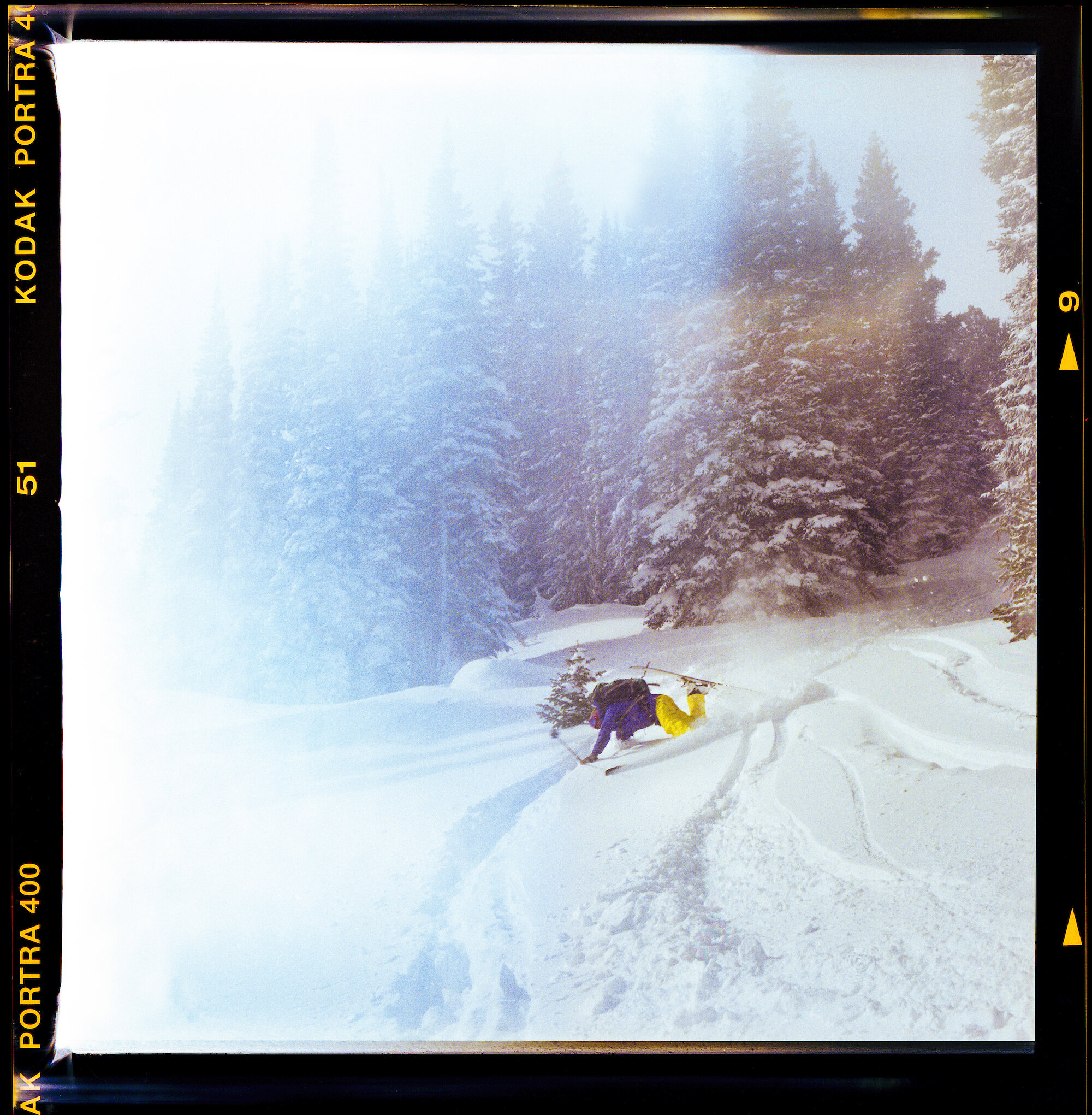 20190202_Danilek_CO_Caribou_125a 2small.jpg