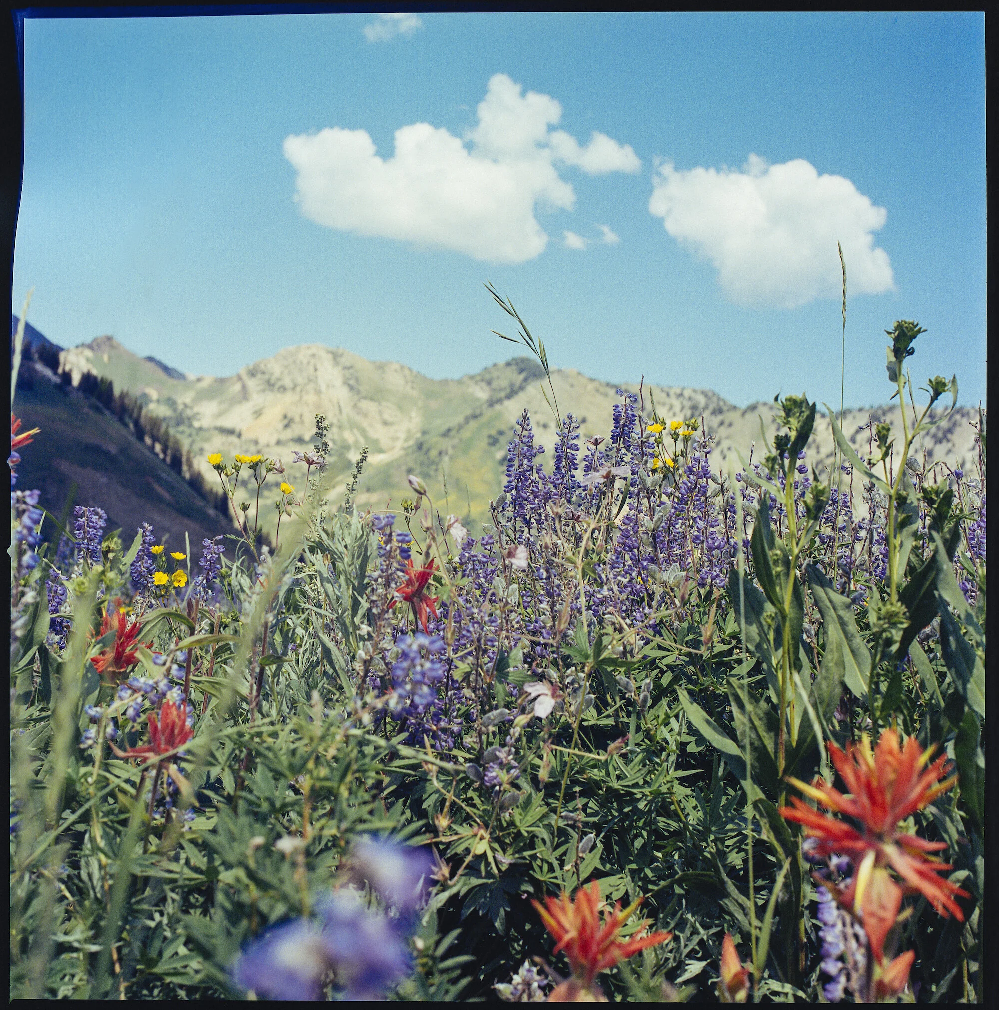 20170730_Danilek_Utah_SL081a copysmall.jpg