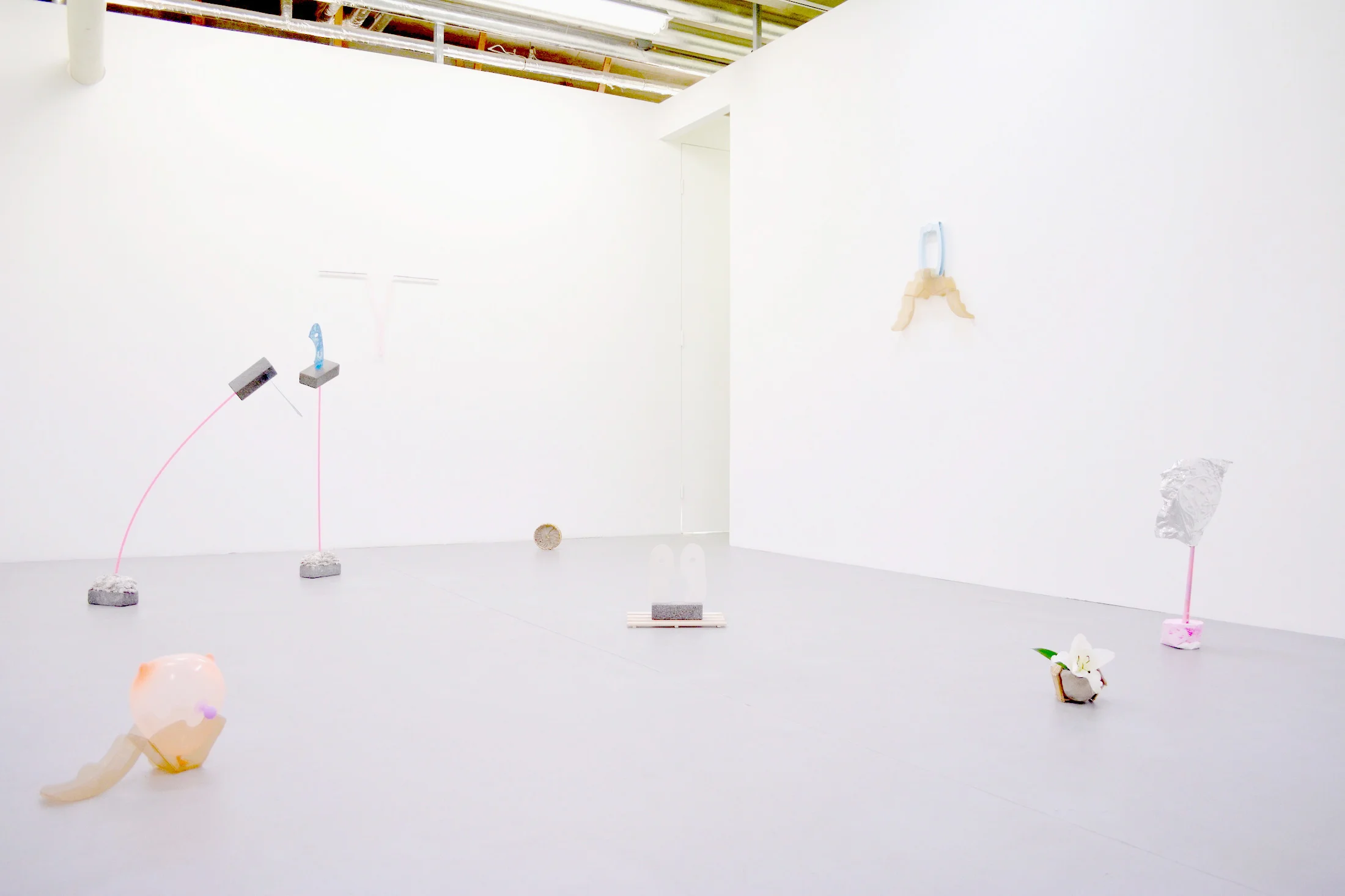 Most of the things dropped around the plants weren't flower petals, 3331 Arts Chiyoda, 2014