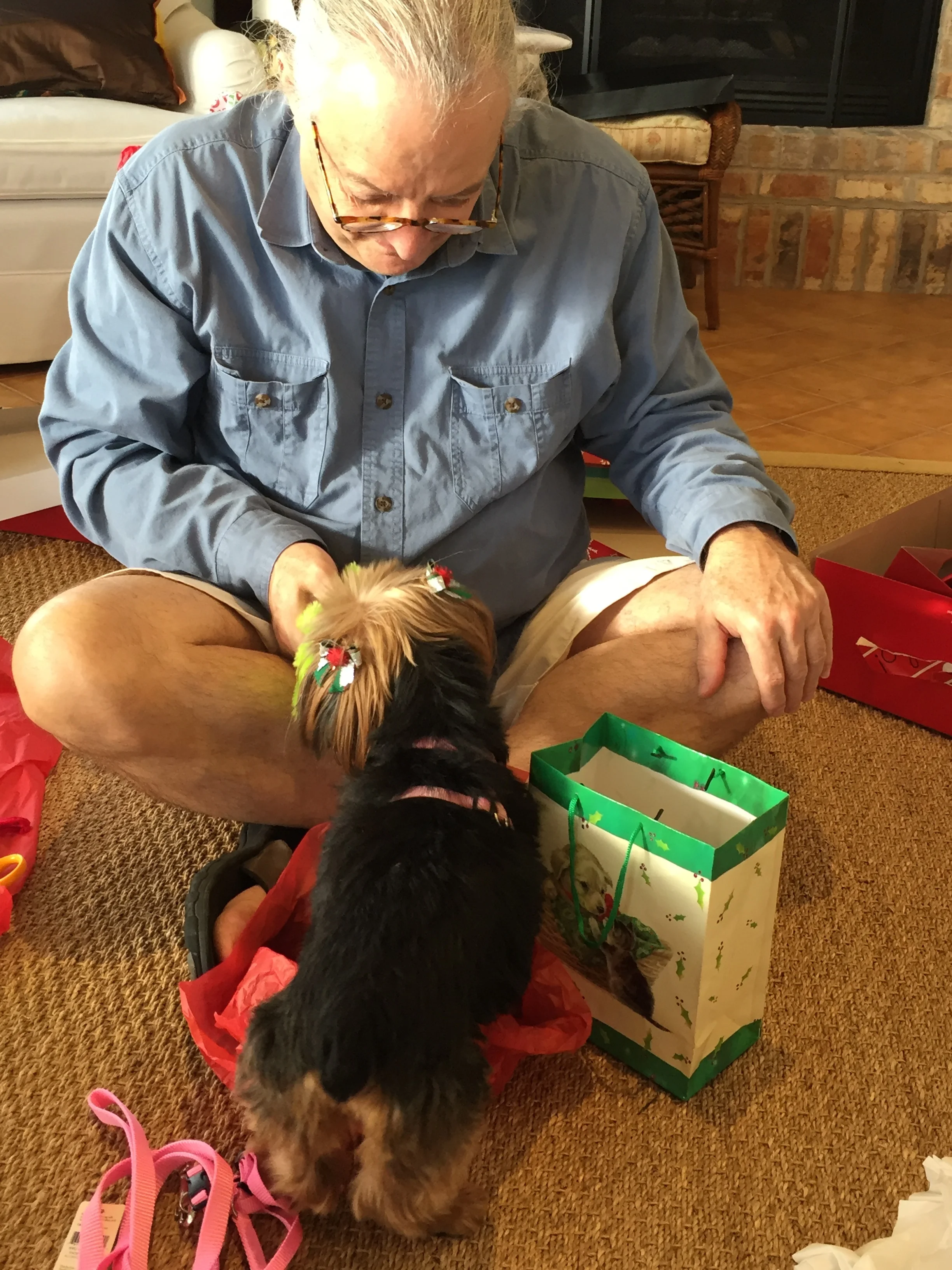 k9 behaviorist near me