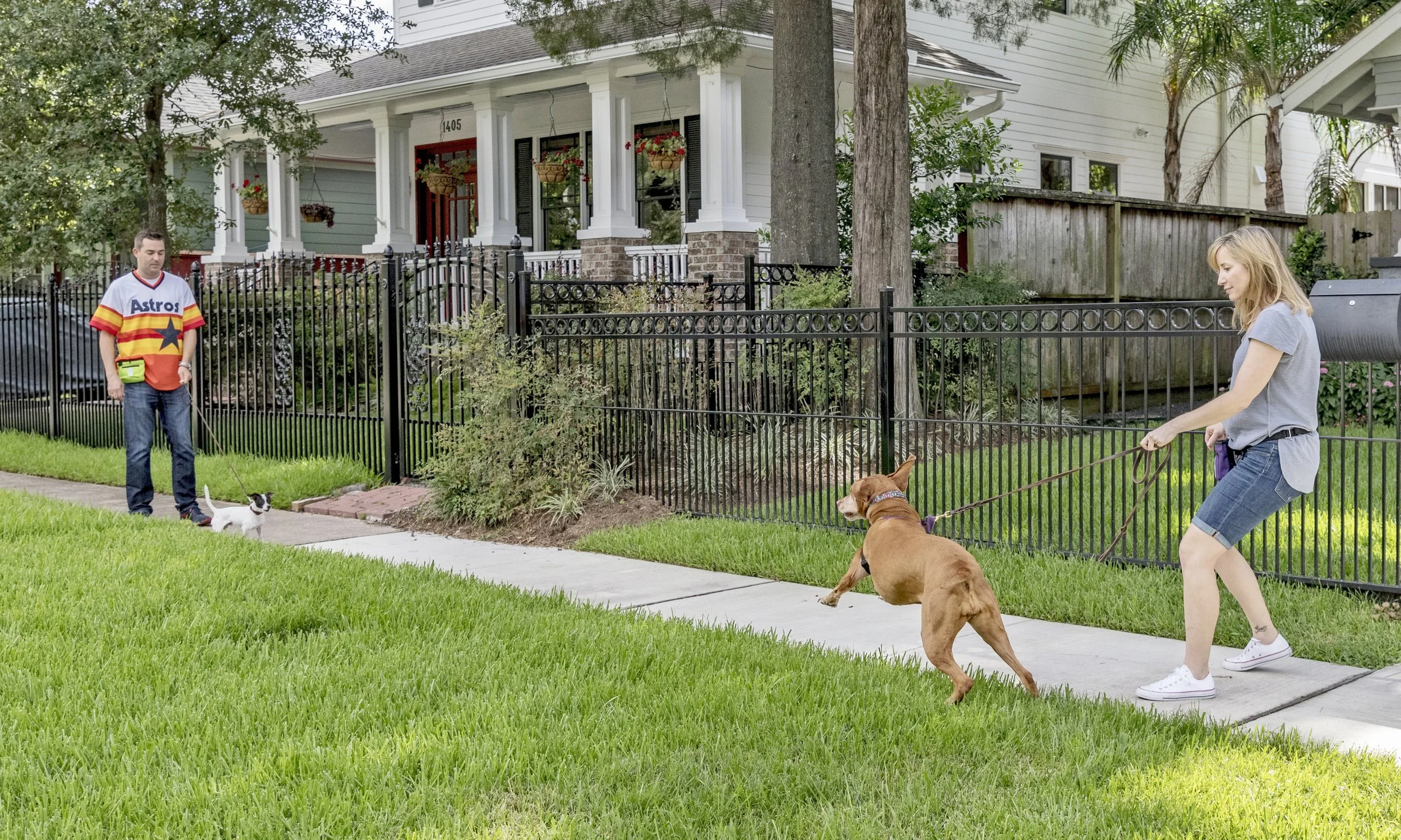_I4A9307_resized_stephanie believe in dog training _ reactive rover_leash lunger.jpg