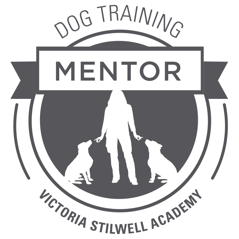VSA-Mentor-Badge-grey.gif