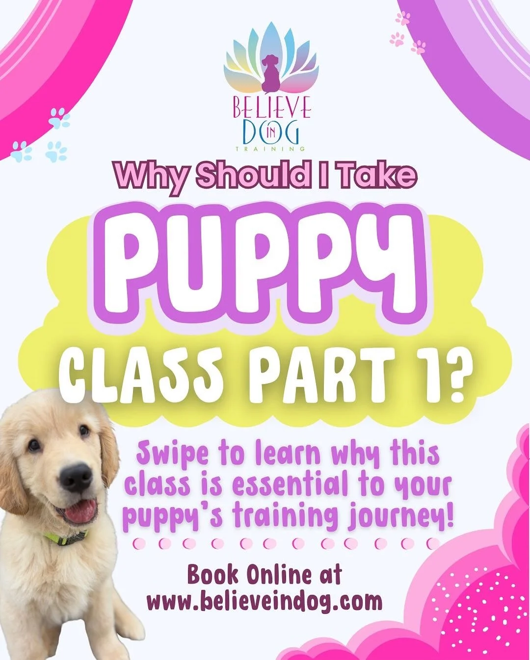 Have you ever wondered where to start in your puppy training journey?? Puppy Class Part 1 is for YOU! This post outlines what Puppy Class Part 1 is and why it is so incredibly important! We want to help YOU become the center of your dog&rsquo;s unive