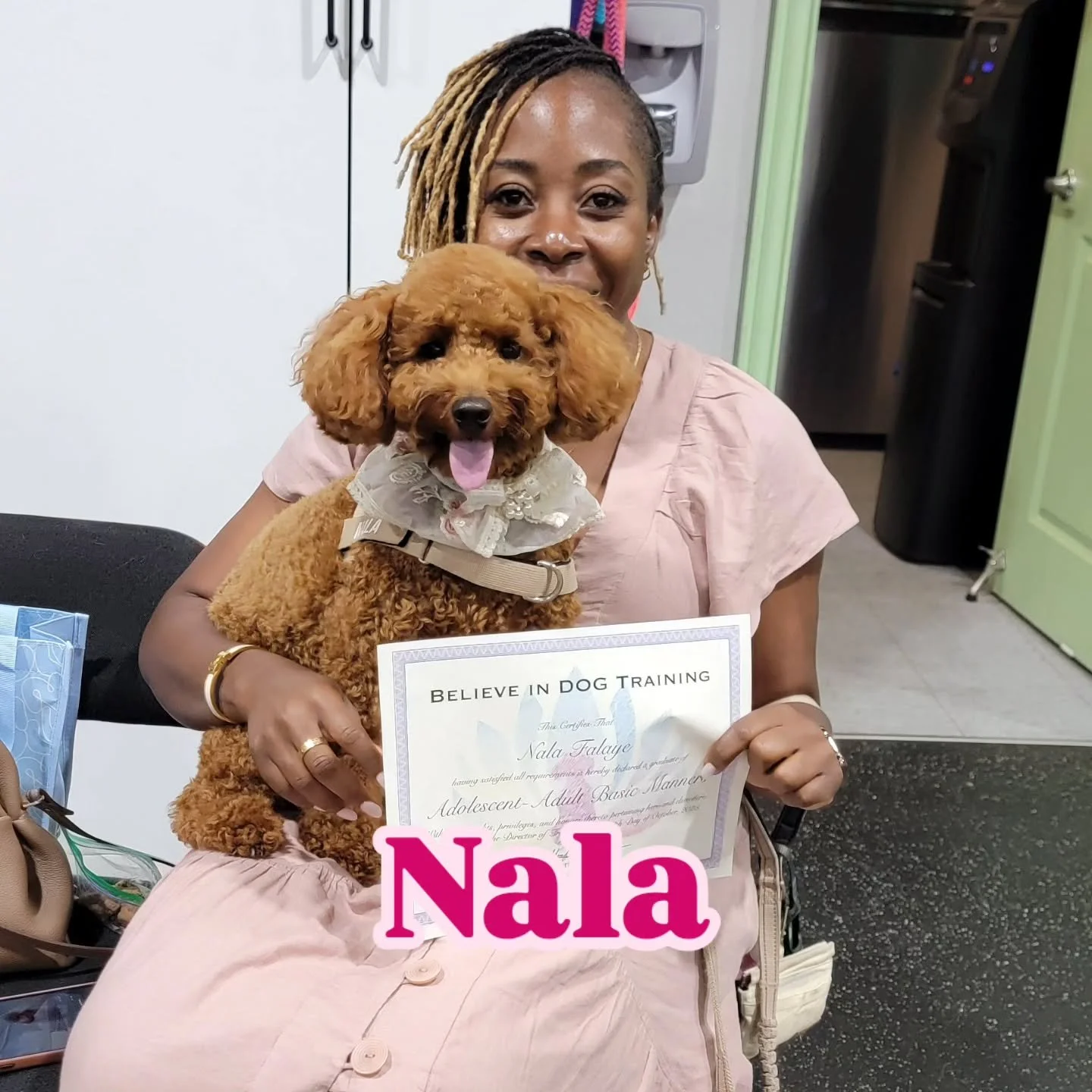 A MASSIVE congratulations 🎊 to our most recent Basic Manners Graduates! 🎓 

This was such a fun class! All of these dogs have amazingly fun personalities and awesome pawrents. It has been so inspiring to watch their bond and communication grow over