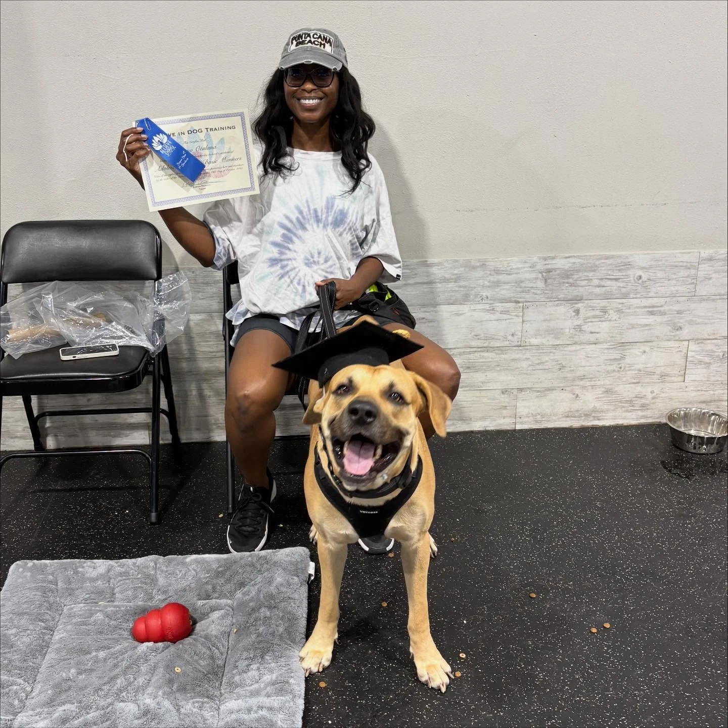 Displayed large to small, these adolescents accomplished most of all! These teens give their parents the power to practice patience. It&rsquo;s been a joy to watch these teams develop into confident and attentive dogs. Hip hip hooray for:

🎾 Bruno
?