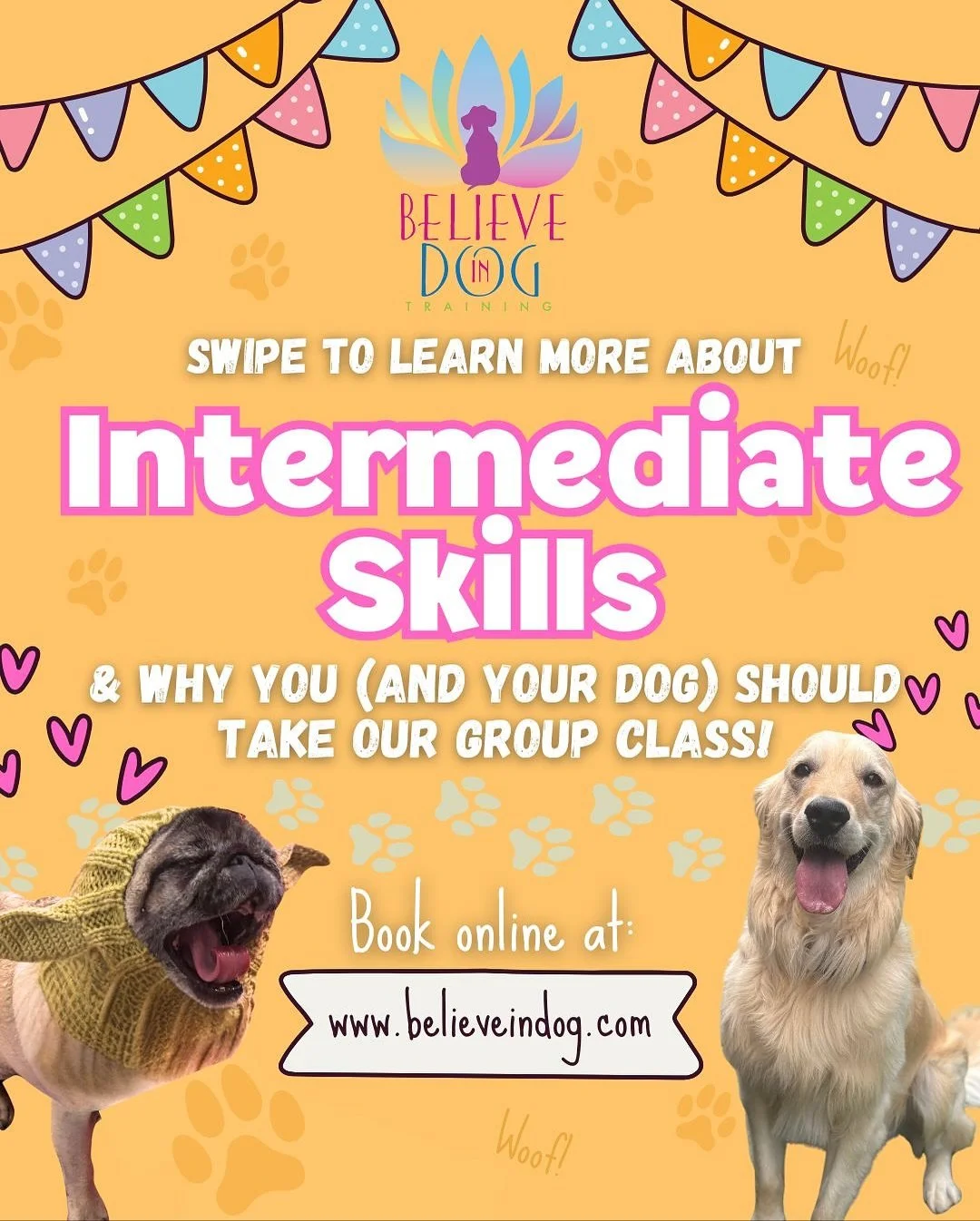 Knowing which step is the right step to take next is hard, but we are here to help! If you have completed our Adolescent-Adult Basic Manners class or Puppy Class Part 2, our 6 week Intermediate Skills class is calling your name! It’s important