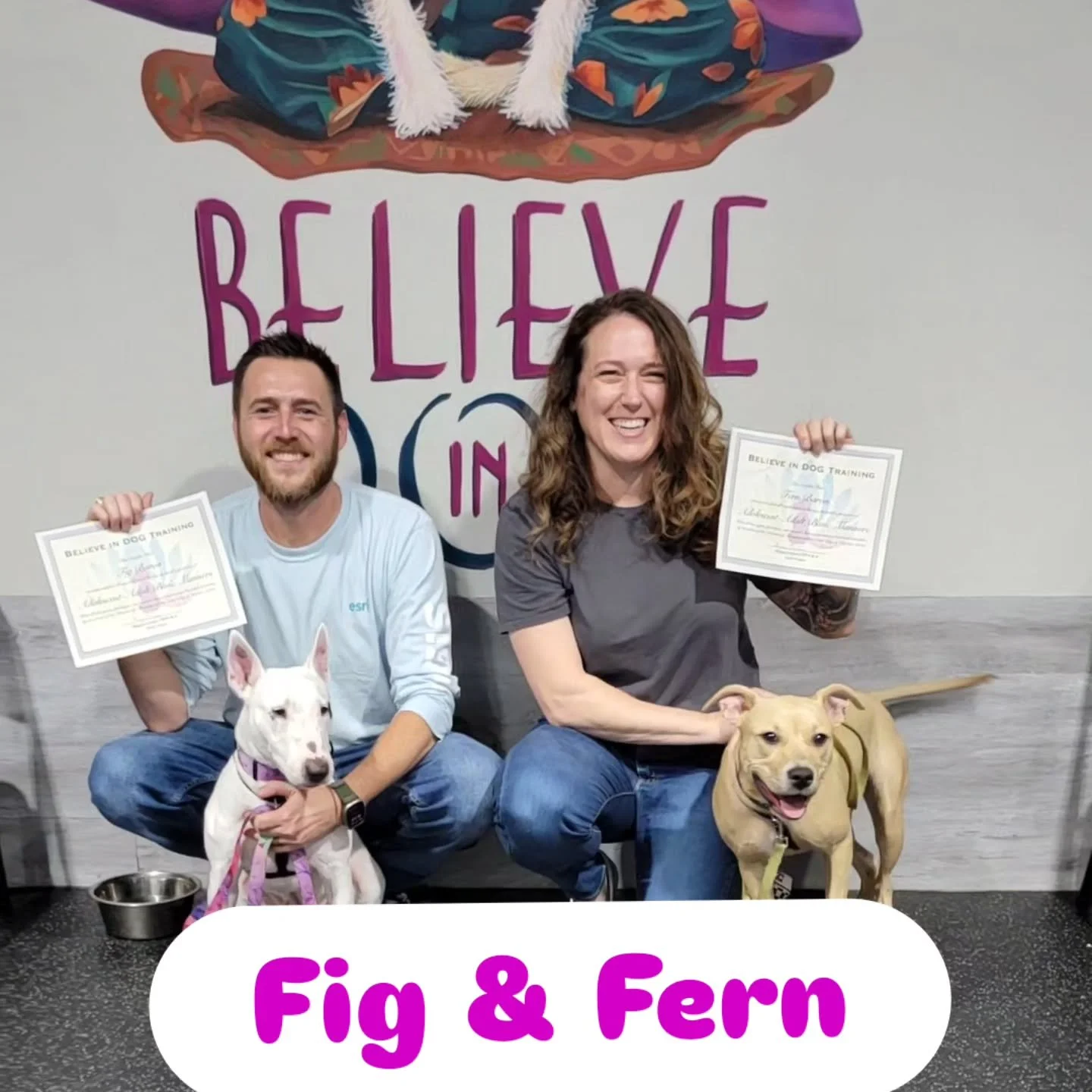 Congratulations to our most recent Basic Manners Graduates! This was a particularly fun class of personalities to teach!

These dedicated pawrents have worked hard on deepening their relationships, enhancing communication skills, and learning about d