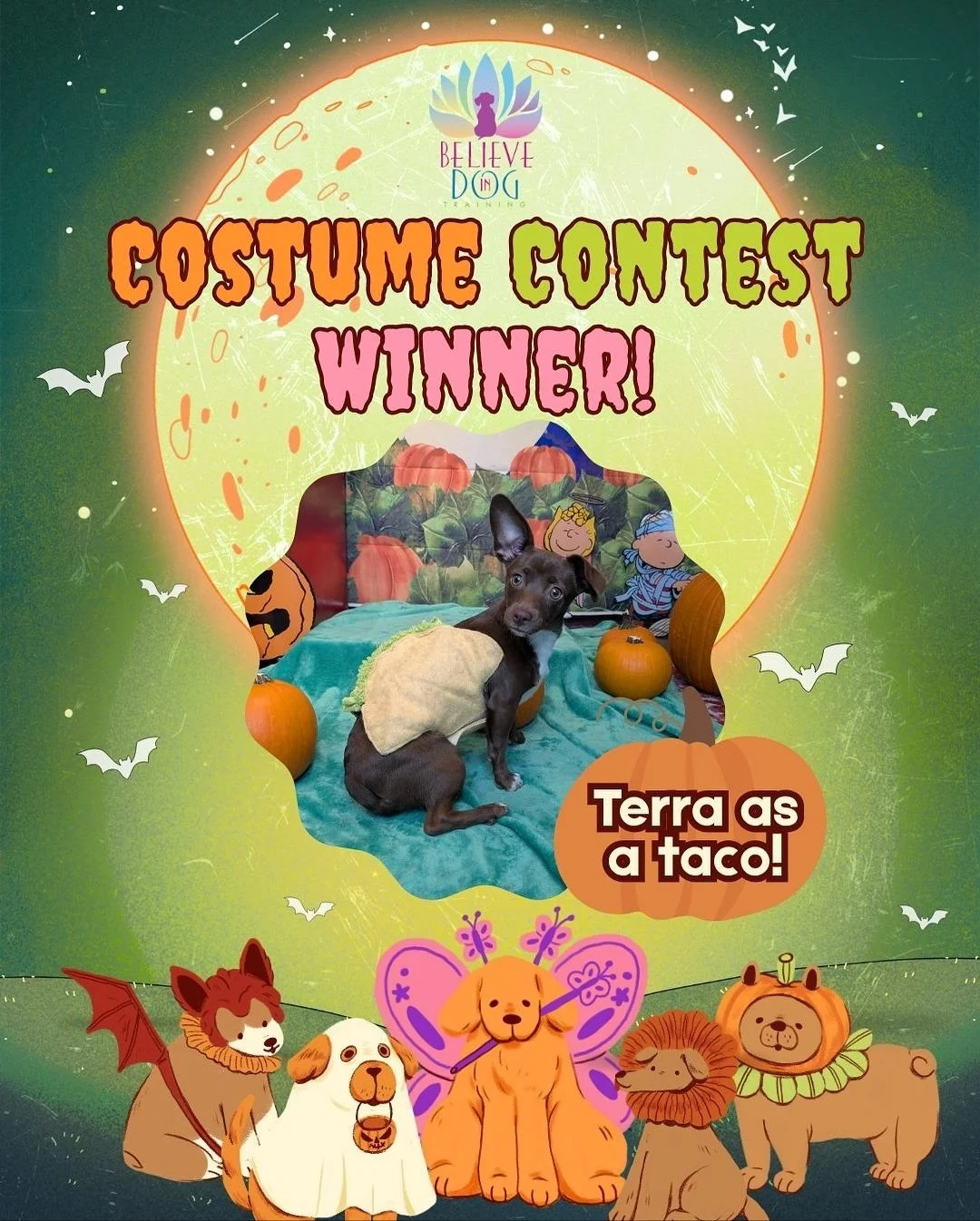 Thank you to everyone who participated in our Puppy Day School Costume Contest, the turn out was amazing (&amp; super cute)! The results are in, congrats to our winners!👻🎉

#costumecontestwinner #puppydayschool #believeindog #houstondogs #puppycost