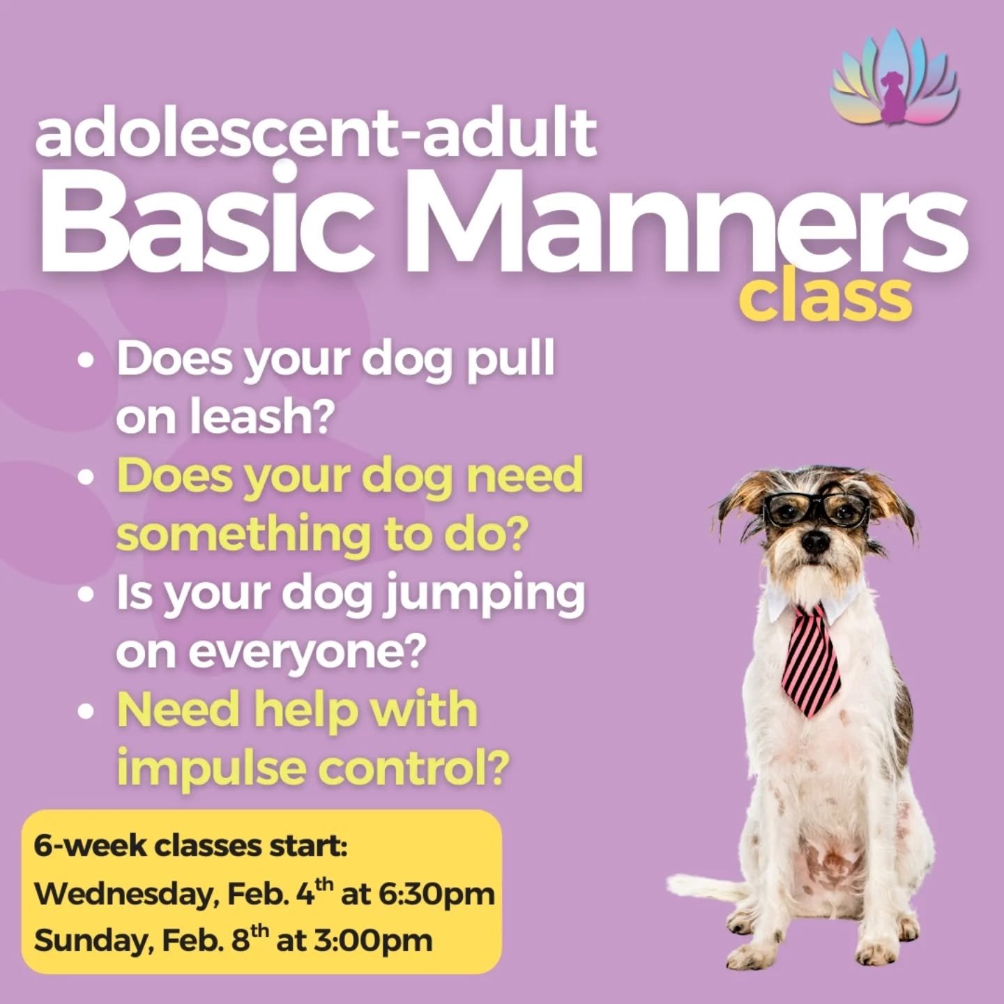 Give your dog something to do this winter and join a Basic Manners class.  This class is for dogs over 5 months old.  Start as soon as this Wednesday!  Visit our website and click Log In to enroll.