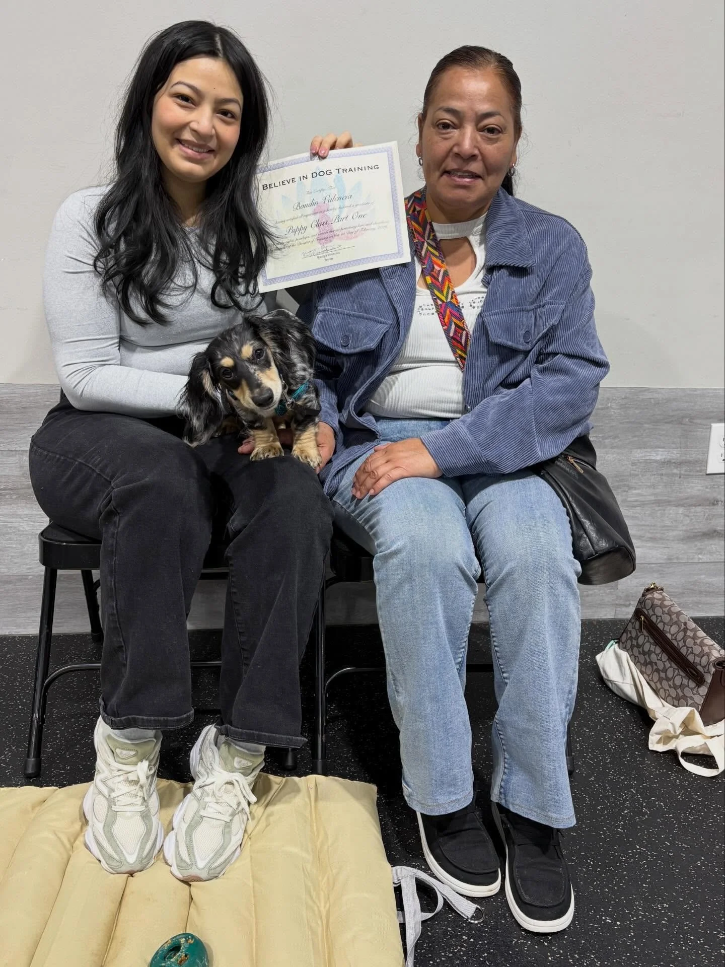 Would you believe these big dogs are puppies? They&rsquo;re our newest PCP1 grads! So much pride and joy on this momentous day, let&rsquo;s celebrate 

🎓 Boudin
🎓 Finley
🎓 Sterling
🎓 Oreo 
🎓 Molly Tutu