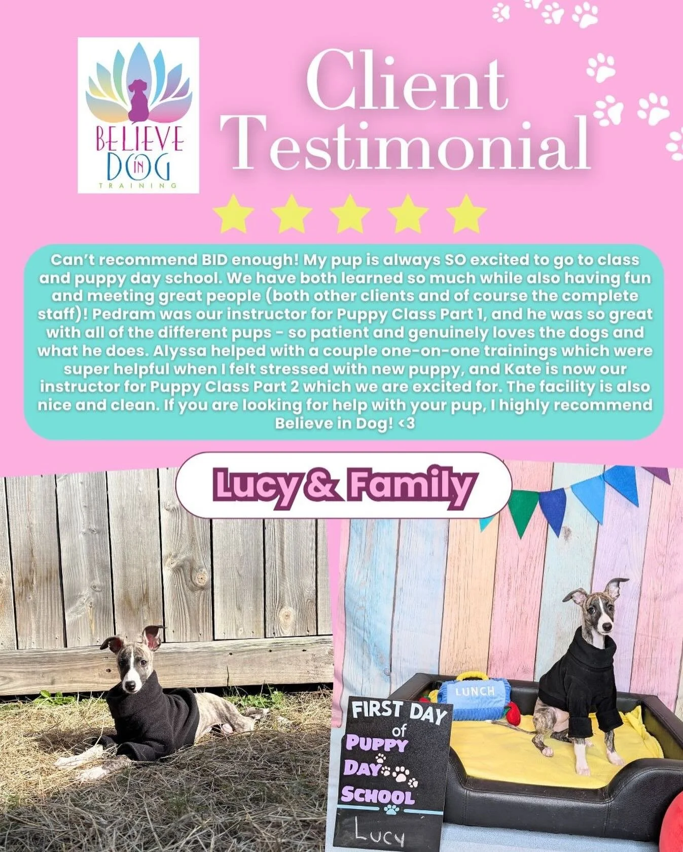 We all ADORE Lucy here at Believe in Dog and we are oh so thankful for her 5 star review! Lucy has gained so much confidence throughout her time with us and we have all loved watching her grow! We love Lucy!🐾💕
-
Have you had a great experience with