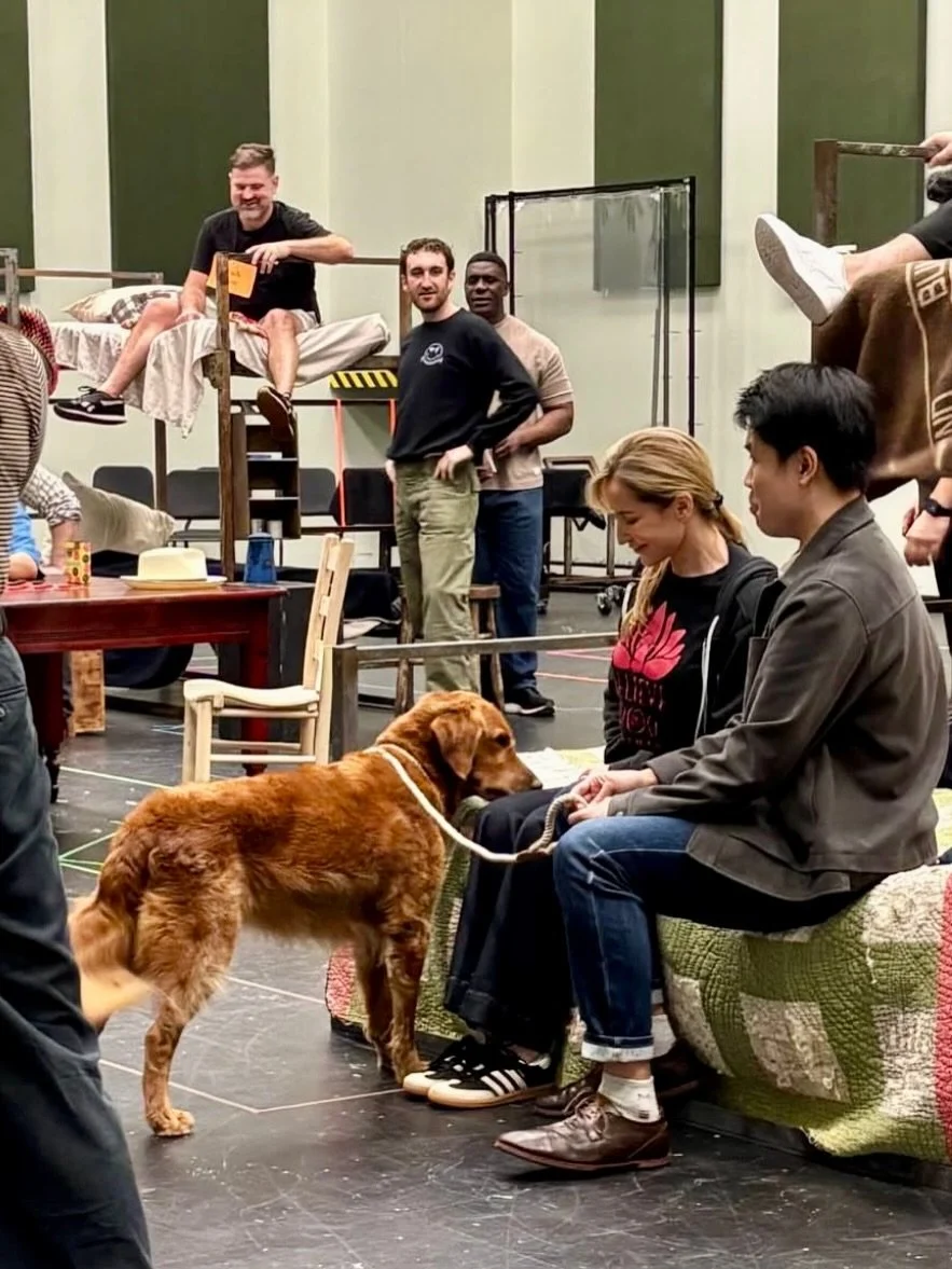 We are beyond lucky to collaborate on this exciting new project with delightful doggos and incredibly talented artists. Stay tuned!