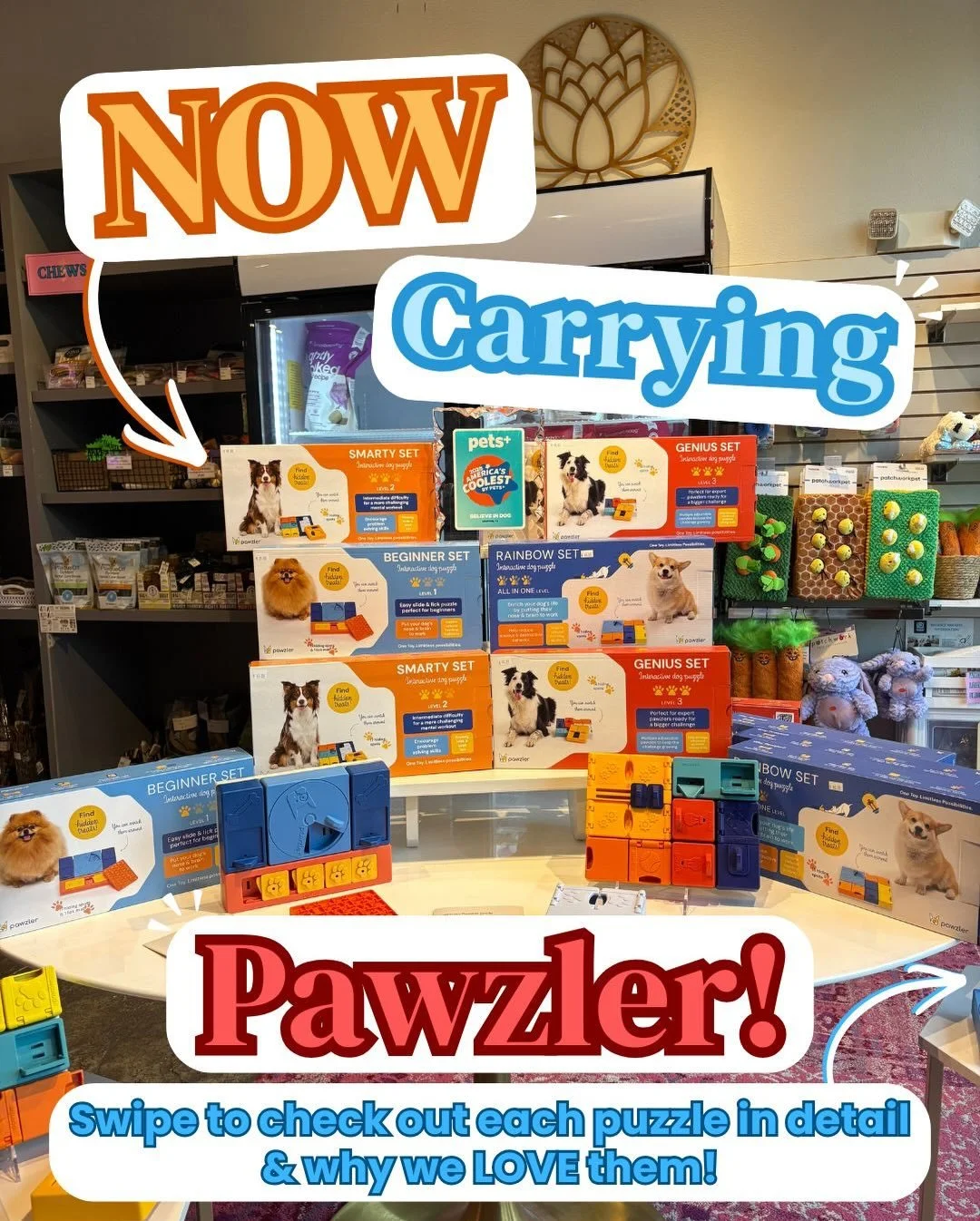 Do you have a furry friend who LOVES food puzzles but has beat every. single. one?! Or maybe you have an entergetic puppy who needs a little more mental stimulation throughout the day! We have just the thing for you! Meet @pawzler, a modular dog puzz