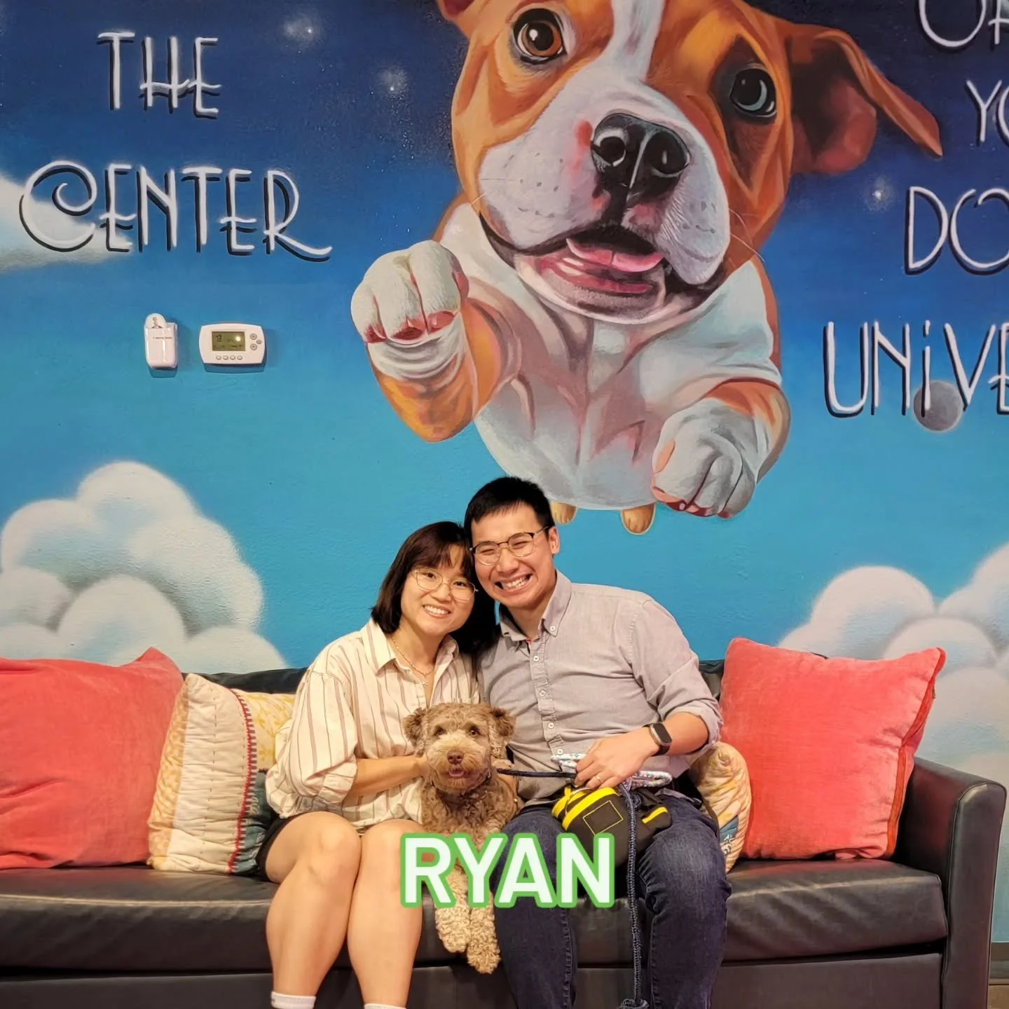 Congratulations to some of our most recent Basic Manners Graduates! We are so proud of all of these pups and their humans with the progress they have made over the last 6 weeks. They learned basic skills like sit, down, leave it, recall, touch; but t