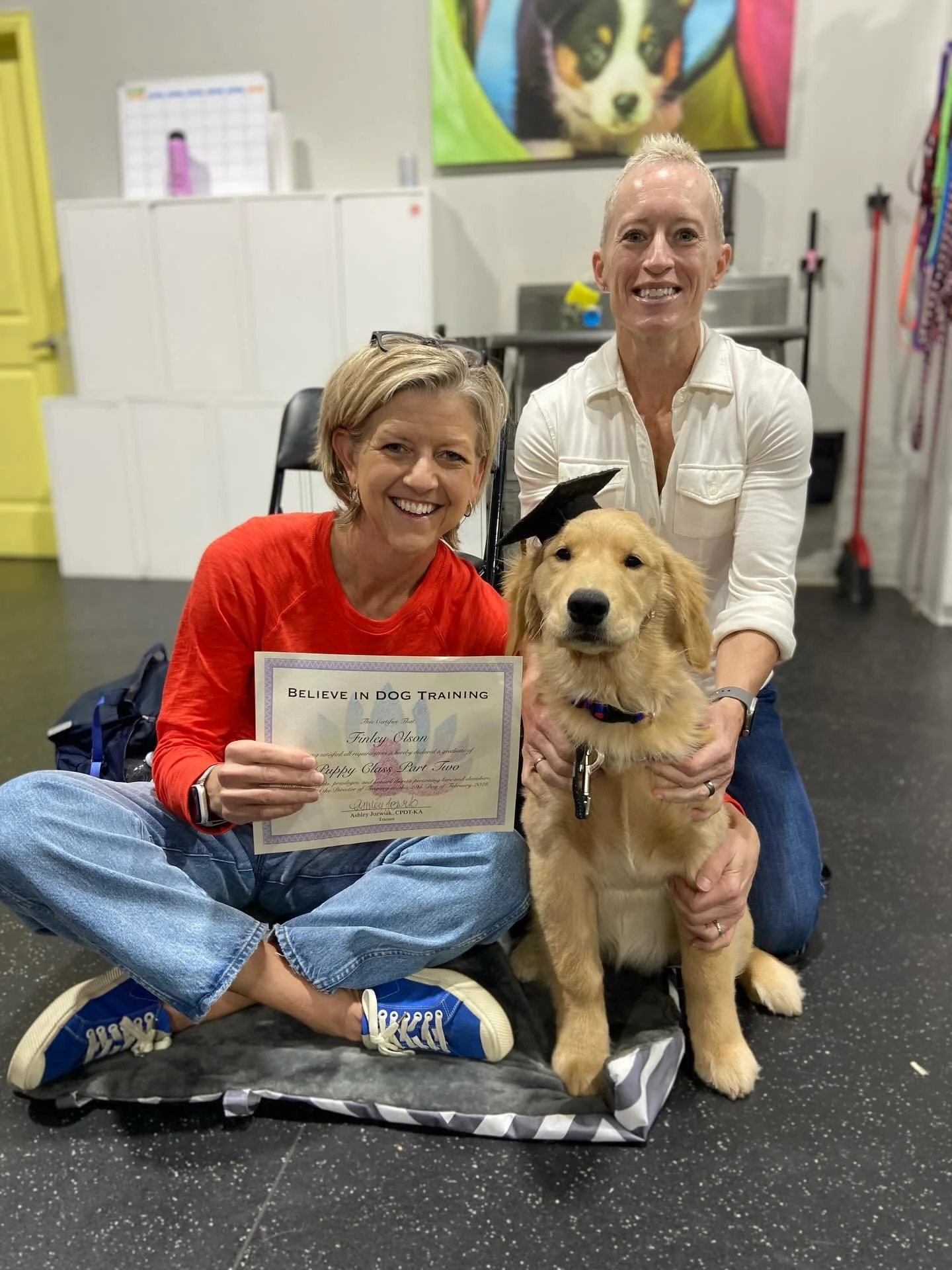 A BIG congrats to our most recent Puppy Class Part Two Graduates! These pups and their handlers displayed patience &amp; tenacity throughout this class while learning down-stay, loose leash walking, leave it, &amp; come when called! This class was a 