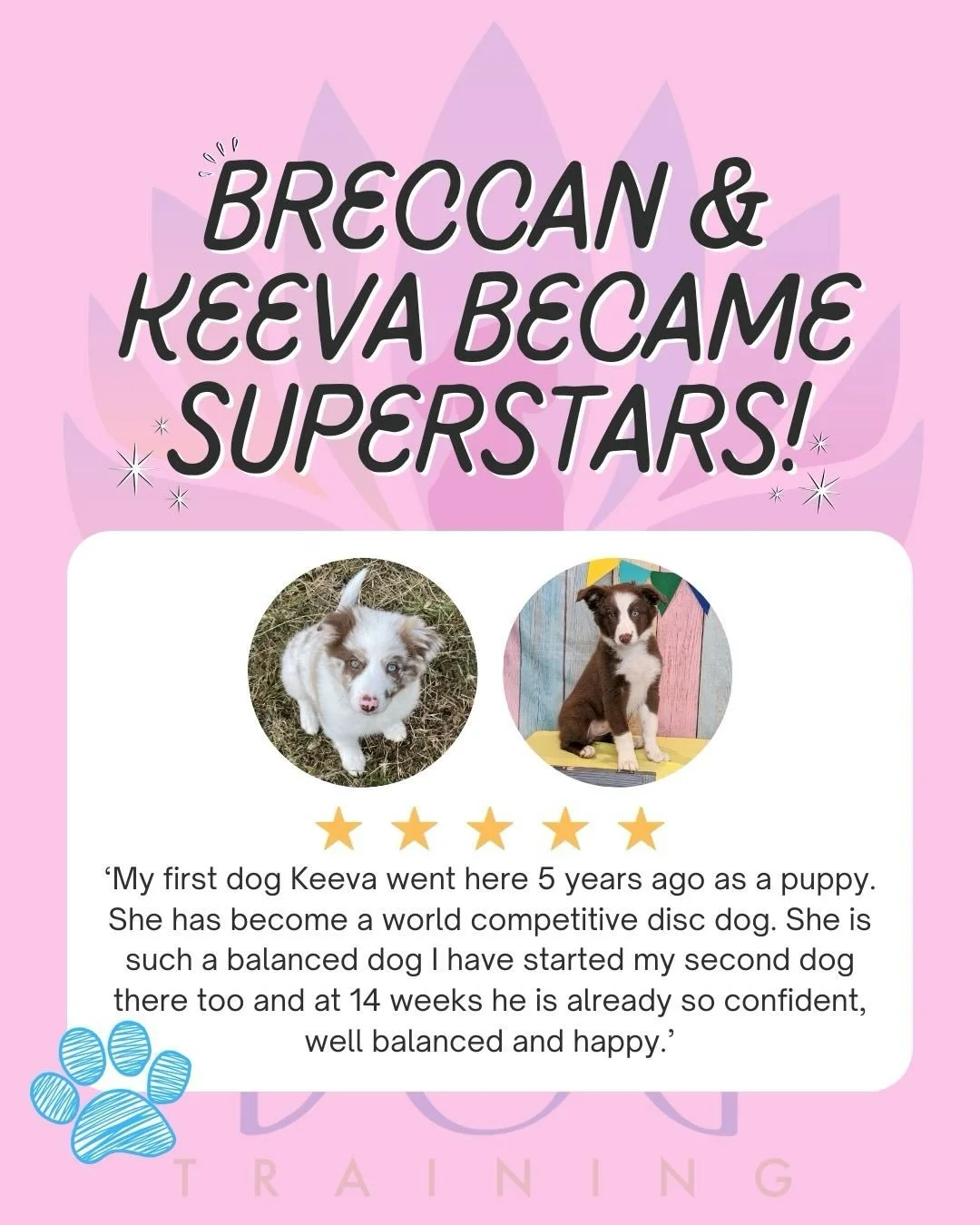 Watching Keeva grow into a world competitive disc dog and now seeing Breccan follow in her pawprints with confidence and joy means everything to us! We are so proud of both of them!🌟

This is what positive, reward-based training is all about: buildi