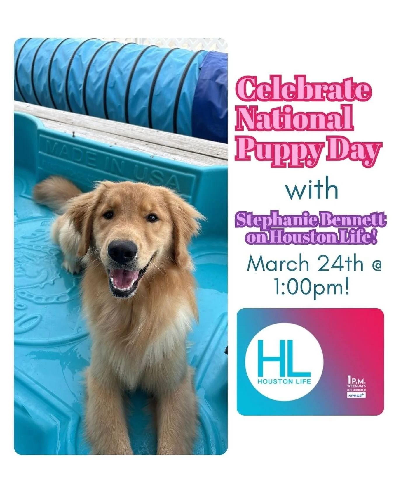 Join us for some National Puppy Day cuteness as we talk all things puppy nipping! Why it happens, what it means, and how to guide your pup towards behaviors you want to see instead!🐶🐾

Tune in to @houstonlifetv &amp; @kprc2 today at 1PM for tips, t