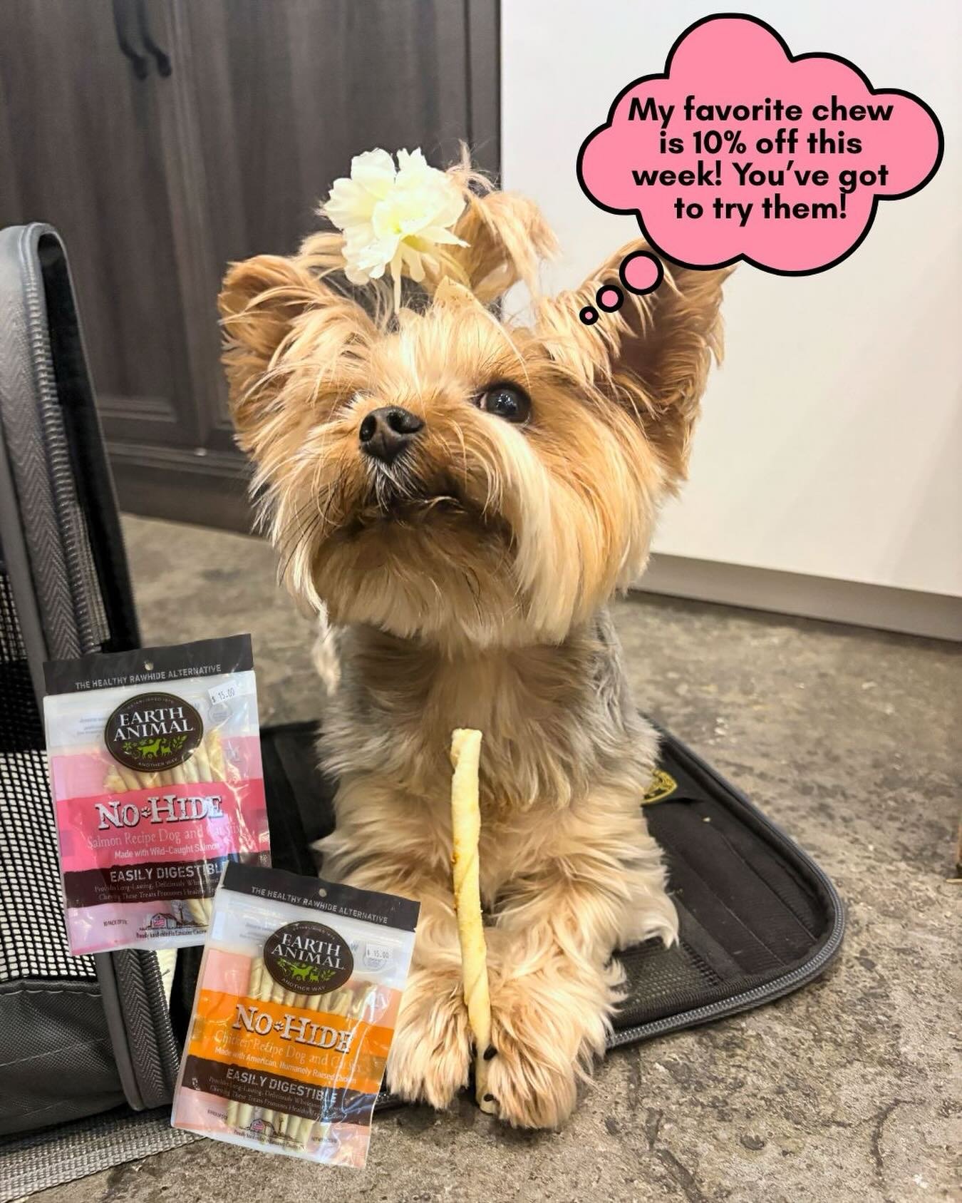 Product of the Week✨

Looking for a safer alternative to rawhide chews? Earth Animal&rsquo;s No Hide Chews are easily digestible, keep pups busy and support healthy chewing habits!🦴

Bonus: they&rsquo;re 10% off this week!👀

#productoftheweek #sale