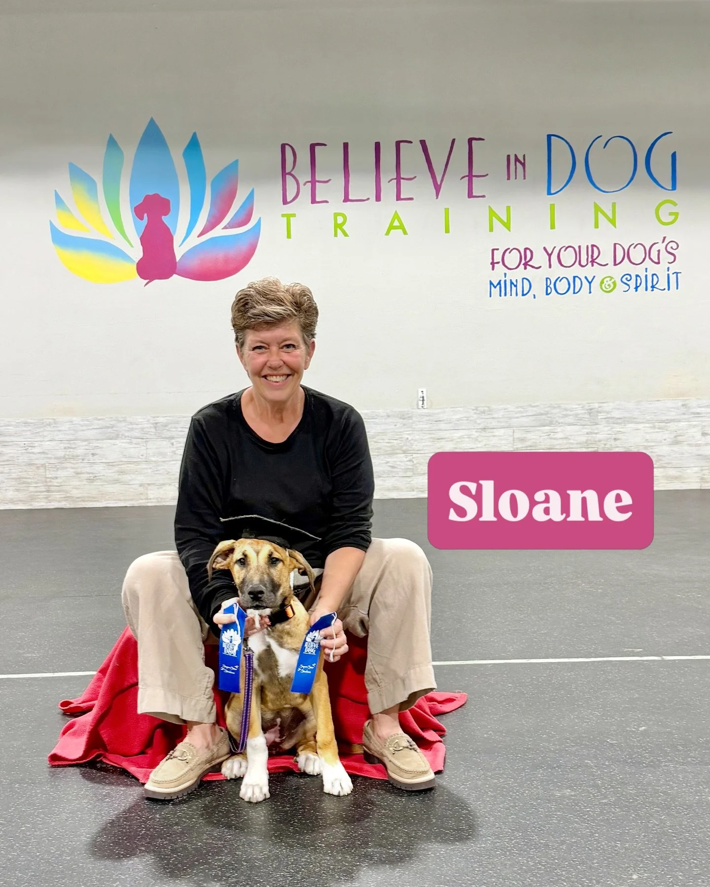 There nothing better than watching new puppies grow, soak up the world and gain so much confidence! Watching their parents learn to communicate effectively, train with kindness, and also gain confidence, is also pretty great! 
😊 🎉🌟
Congratulations