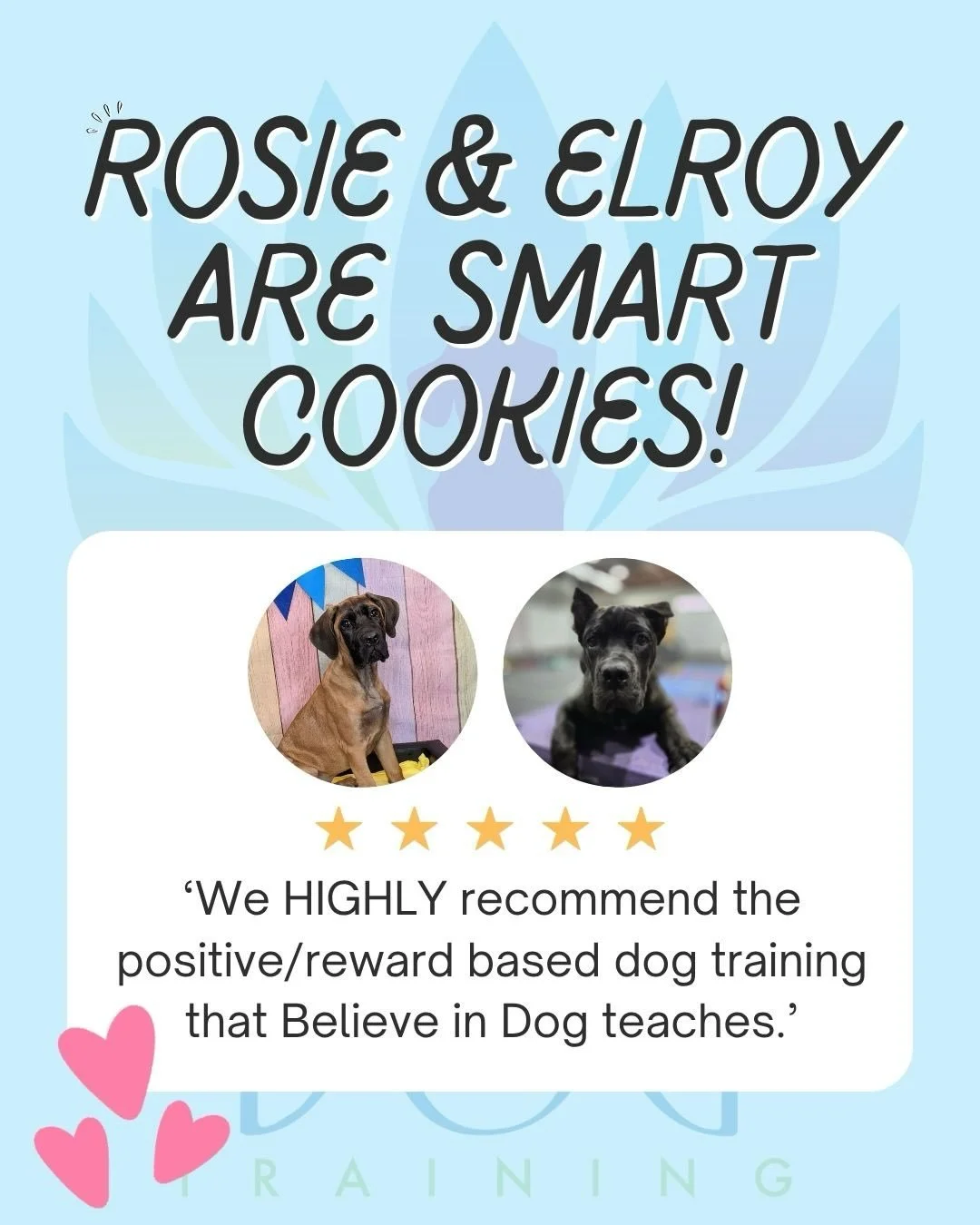 Rosie &amp; Elroy = proof that positive training works!🩷

From curious pups to confident, well-rounded dogs, their journey has been so special to watch. We&rsquo;re beyond grateful to have been part of it &amp; even more grateful for amazing familie