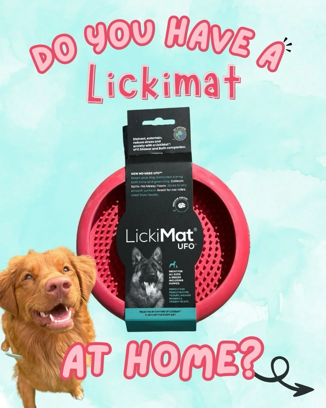 Enrichment Day is coming!🐾✨
May 2nd, don&rsquo;t miss it!

Bring it or buy it! Either way, your first fill is on us!
Then keep the fun going&hellip;extra fills for just $5!

Because a busy pup = a happy pup!🐶🩵

[houston dog events], [happy dogs], 