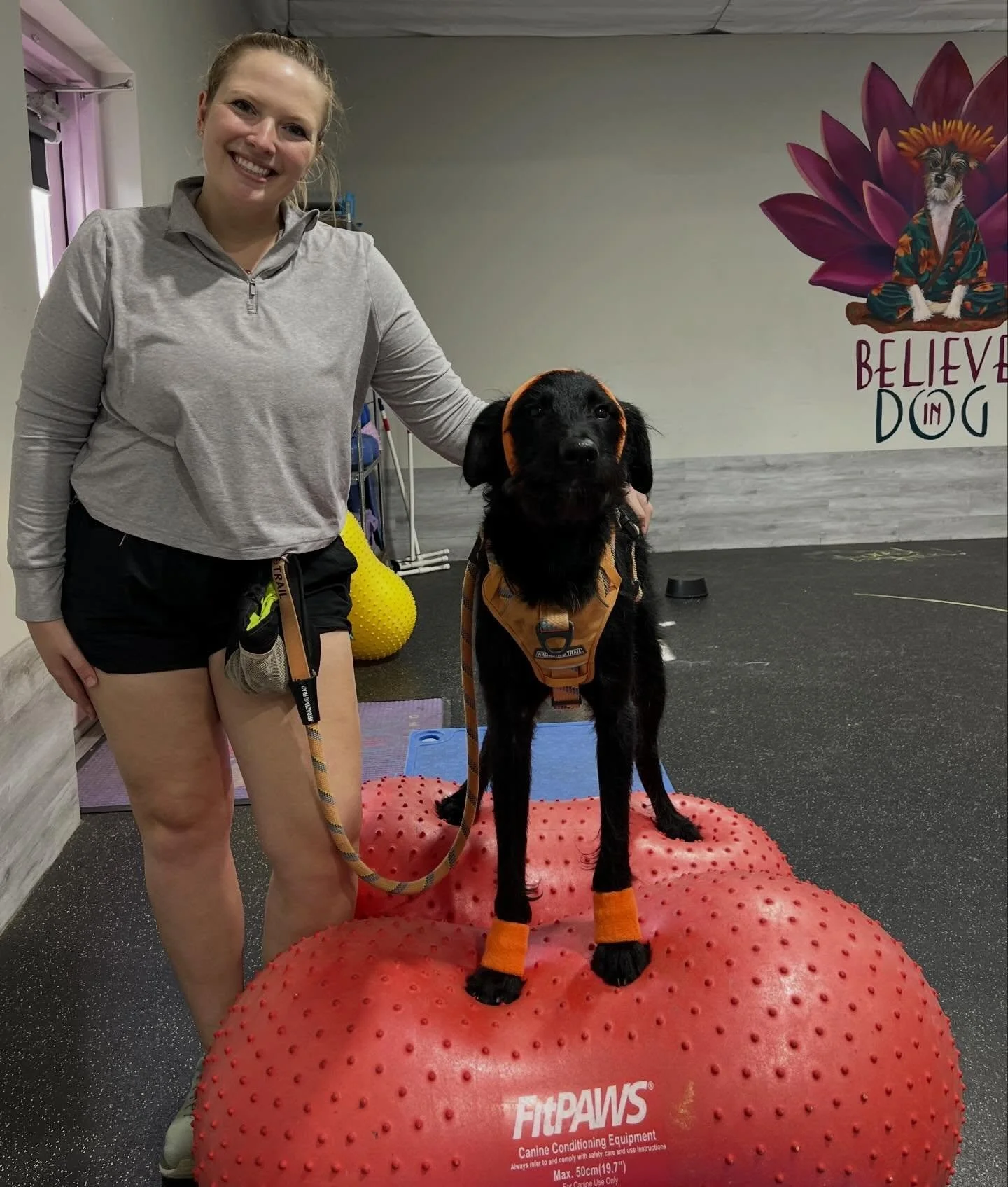 Our Doggie Fitness Graduates!!

These teams spent the past 6 weeks working on their fitness 💪 The exercise increased in difficulty as the
class went on and with the help of their amazing humans (and some yummy treats) the dogs were able to confident