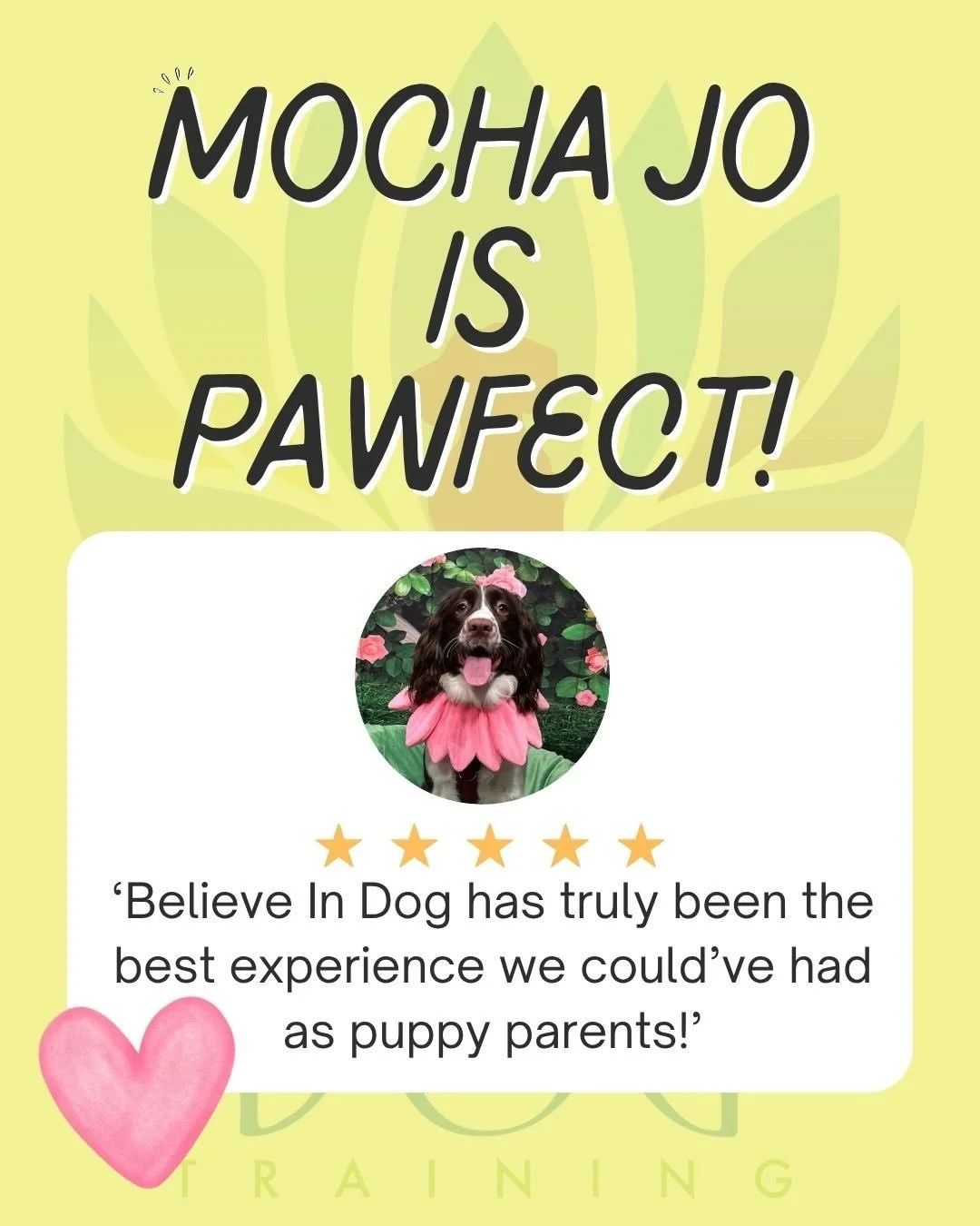 We&rsquo;re so grateful to have been part of Mocha&rsquo;s training journey! Mocha, you&rsquo;re a star and we&rsquo;re incredibly proud of the progress you&rsquo;ve made. We can&rsquo;t wait to keep watching you grow, learn, and shine!🌟🌷

@mochajo