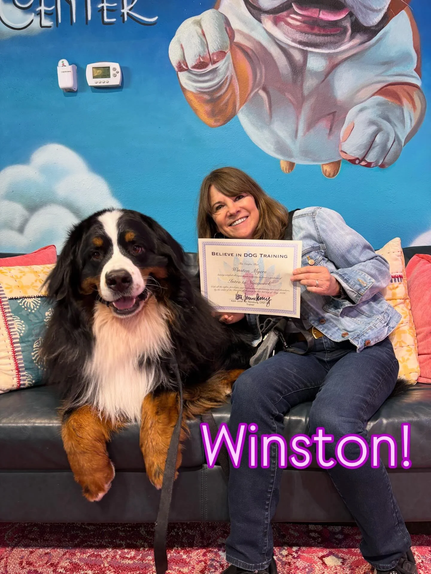 Congratulations to our recent Intro to Nosework class!  These amazing dogs learned how to use their natural scenting abilities and work around obstacles to build confidence. 

Congrats to:
🩵 Winston
💙 Lorenzo
🩷 Emmy
🧡 Suki
💛 Kleo