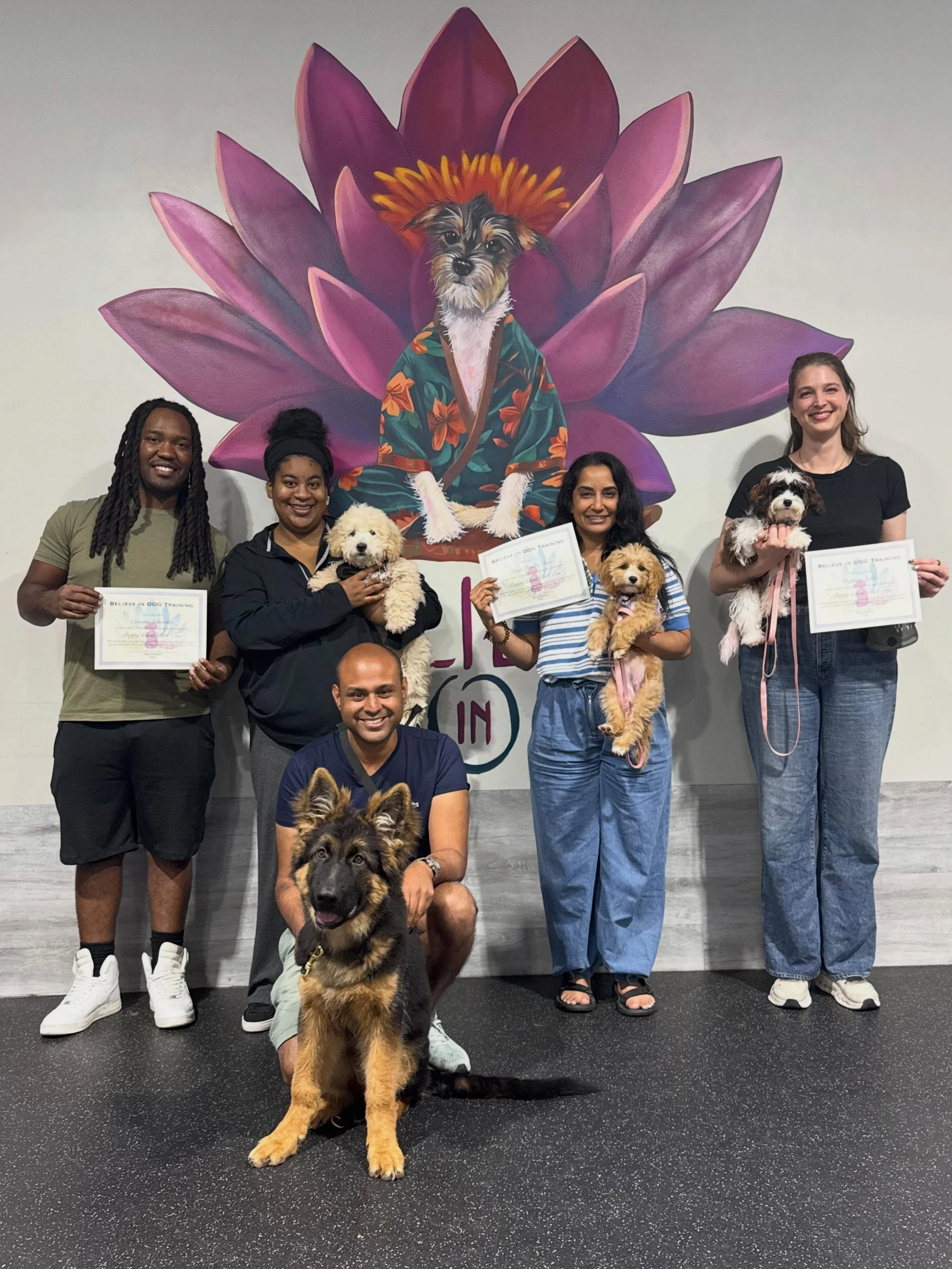 Another Puppy One Class in the books! Congratulations to these wonderful parents and pups for completing Puppy One. Off to Puppy Two they go! 🥳🙌🏼

🧡 Bruno
🩵 Cassius
🩷 Daphne
💜 Diya London
.
.
.
.
#puppies #puppylove #puppylife #houston #dogtra