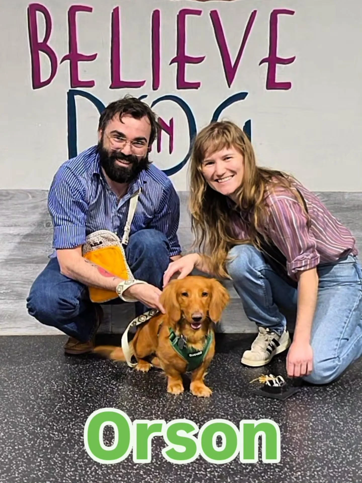Put your paws together for some of our most recent Basic Manners Graduates! Between entering adolescence and navigating the first few weeks in a furever home, these dogs and their people learned a lot in this class!

We go beyond just the basics of S