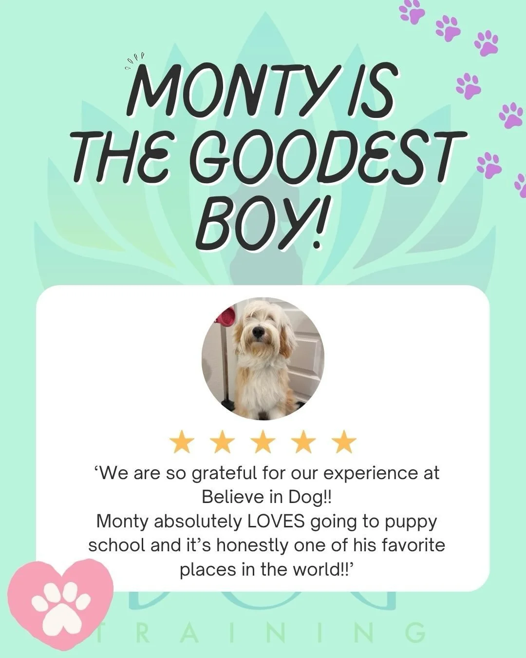 Monty you are the BEST! A big thank you to The Price Family, @monty.tib, for their amazing review! We have loved watching Monty grow, learn, and shine throughout his time with us! He is destined to be a star!🌟
&bull;&bull;&bull;
Read the full review
