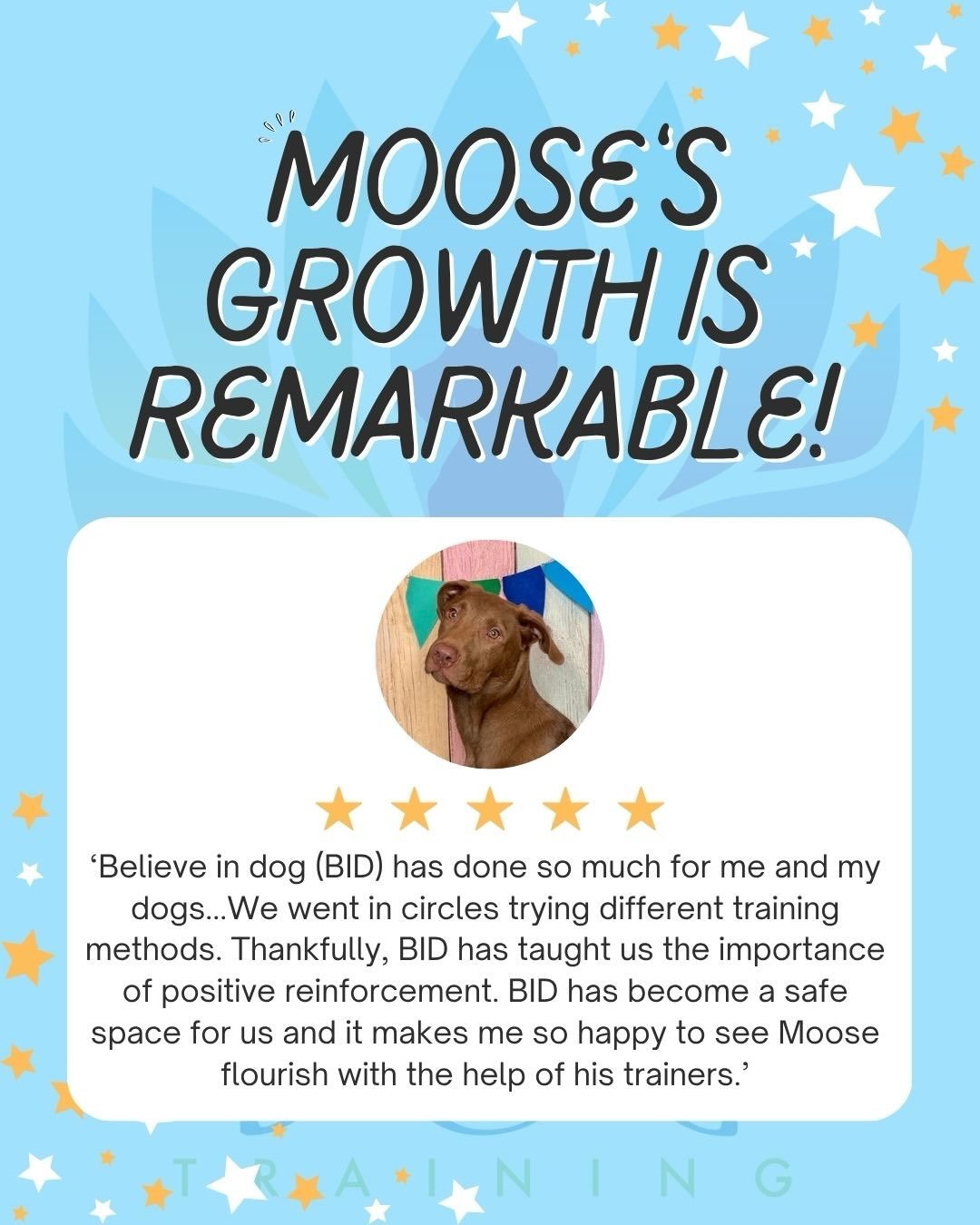 We are so proud of Moose &amp; his growth throughout his training journey with us! We adore him and his pawrents who have dedicated so much time to his training &amp; shower him with love! Thank you for the very kind review!🌟🪷
&bull;&bull;&bull;&bu