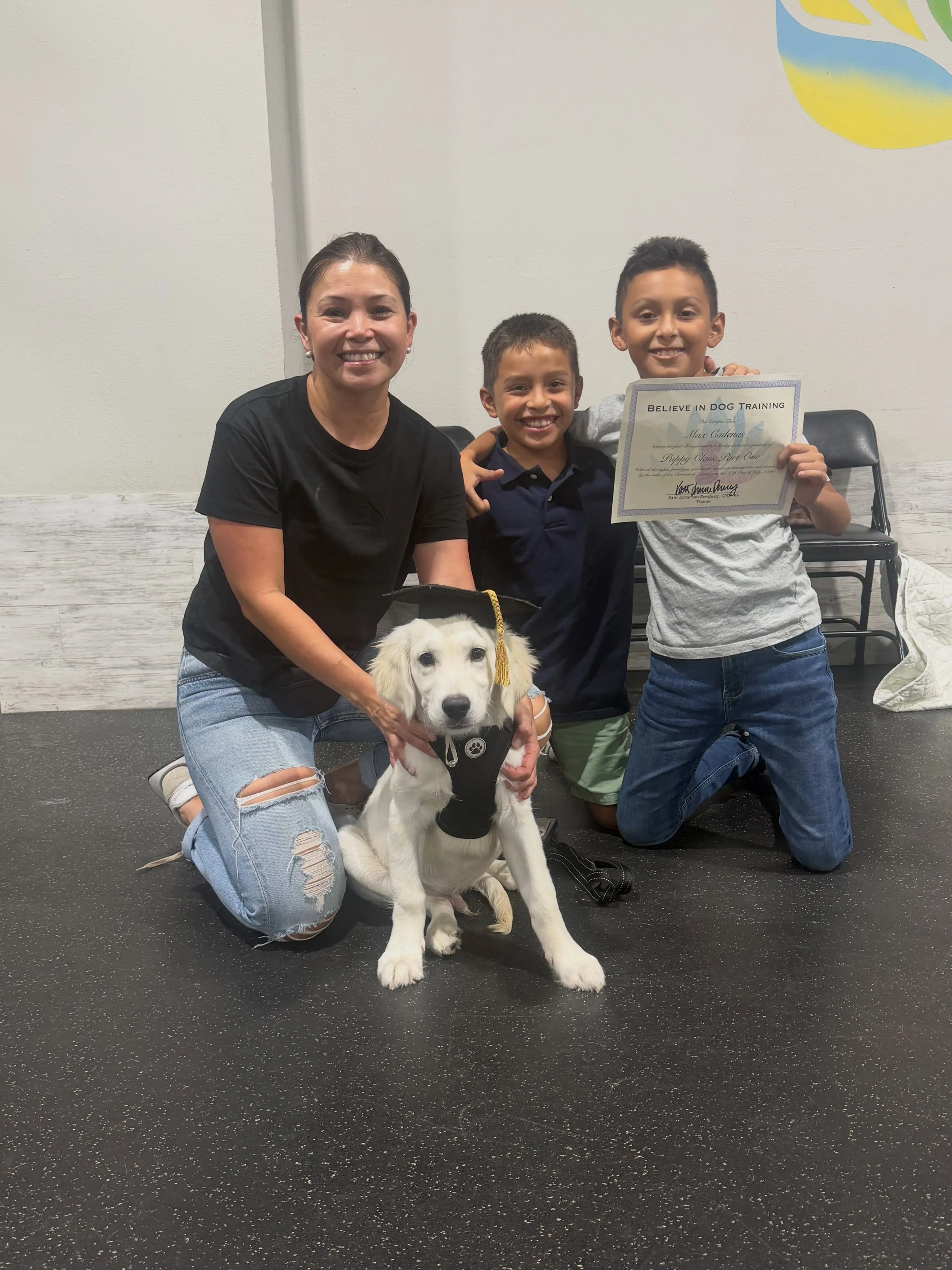 Check out these Super Star Puppy Class Part One graduates! These teams developed beautiful relationships and built a foundation that will last a lifetime. Mutual respect, effective communication, and calm persistence are the keys to success! 

Thank 