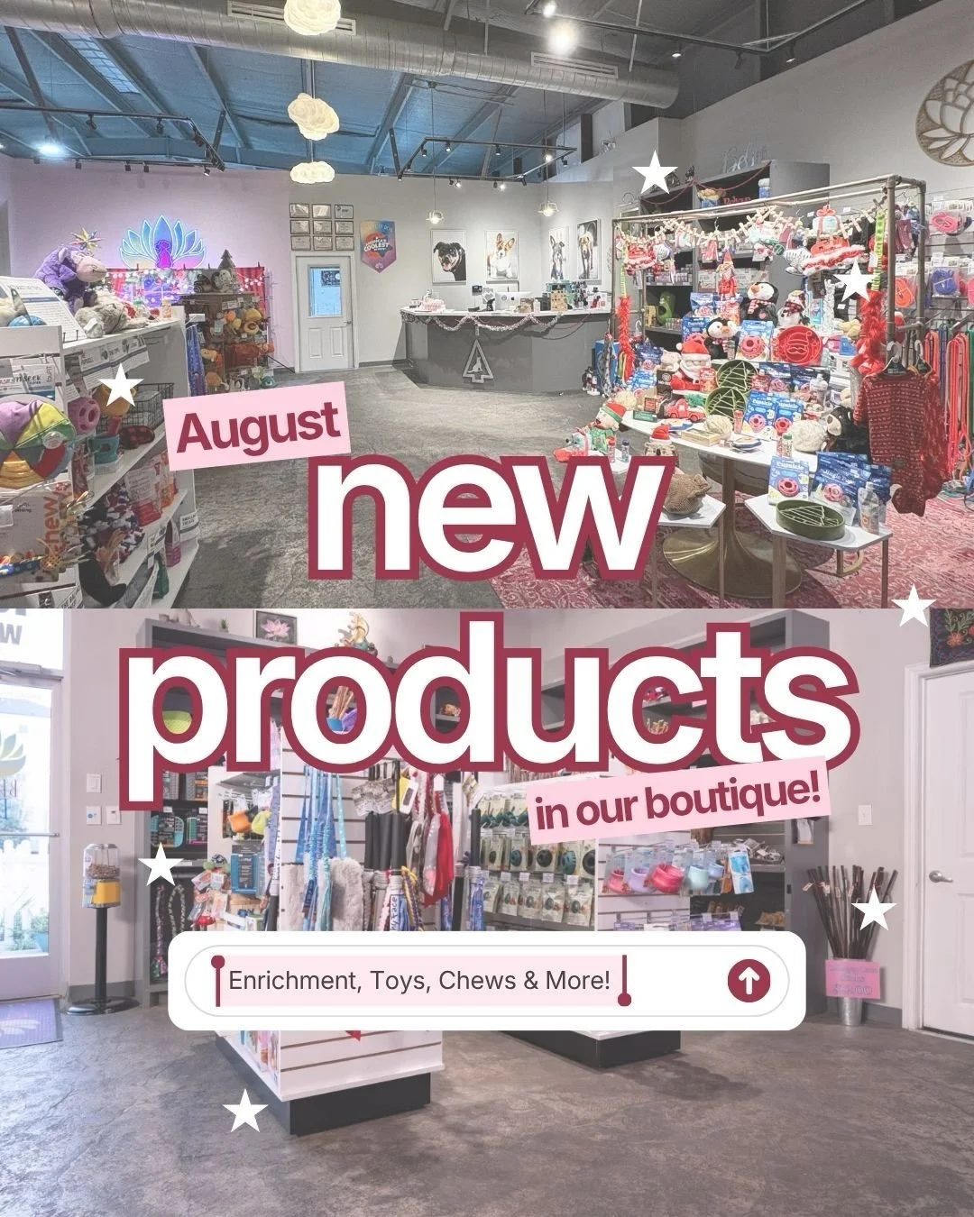 New month, new goodies! We&rsquo;ve got some exciting new products hitting our boutique shelves this month, from fun enrichment &amp; toys to must-have treats for your pup. Swipe through to see what&rsquo;s new and find your dog&rsquo;s new obsession