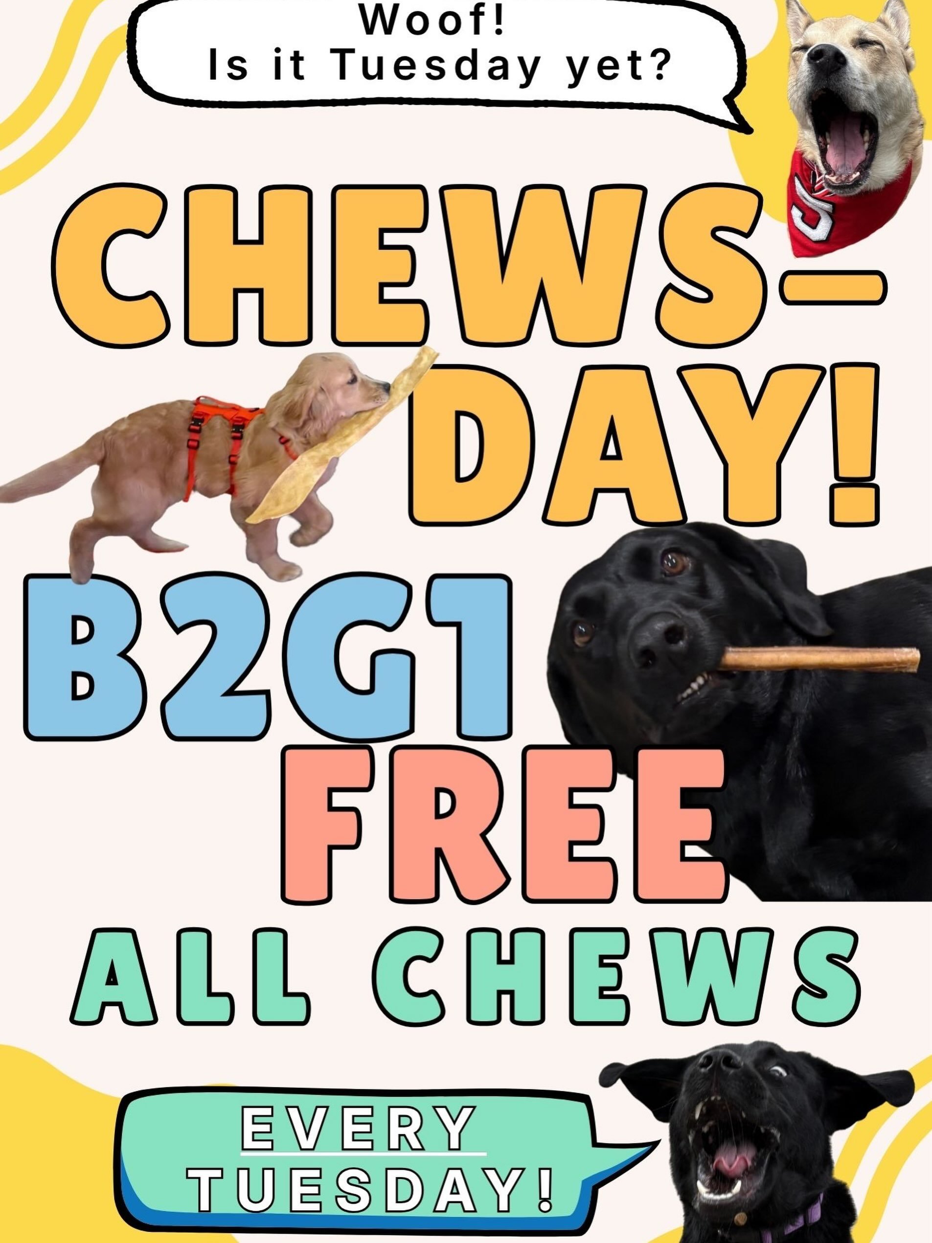 You don&rsquo;t want to miss this! EVERY Tuesday all chews in our boutique are buy 2 get 1 free! Stop by today and stock up on your dog&rsquo;s favorites!🦴🐕
&bull;&bull;&bull;&bull;
#petboutique #dogchews #dogtreats #sale #happydogs