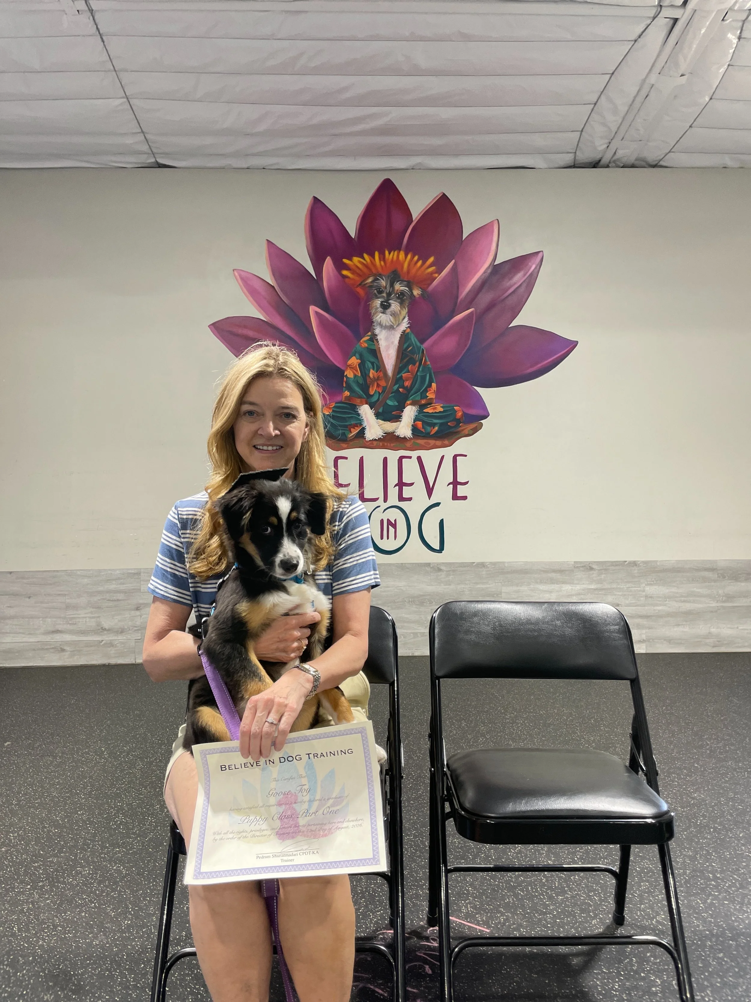 Proof that practice doesn&rsquo;t make perfect&mdash;it just makes life a whole lot easier. So proud of how far these pups have come! ❤️
Staring:
Goose 
Maleny
Boo
Hana